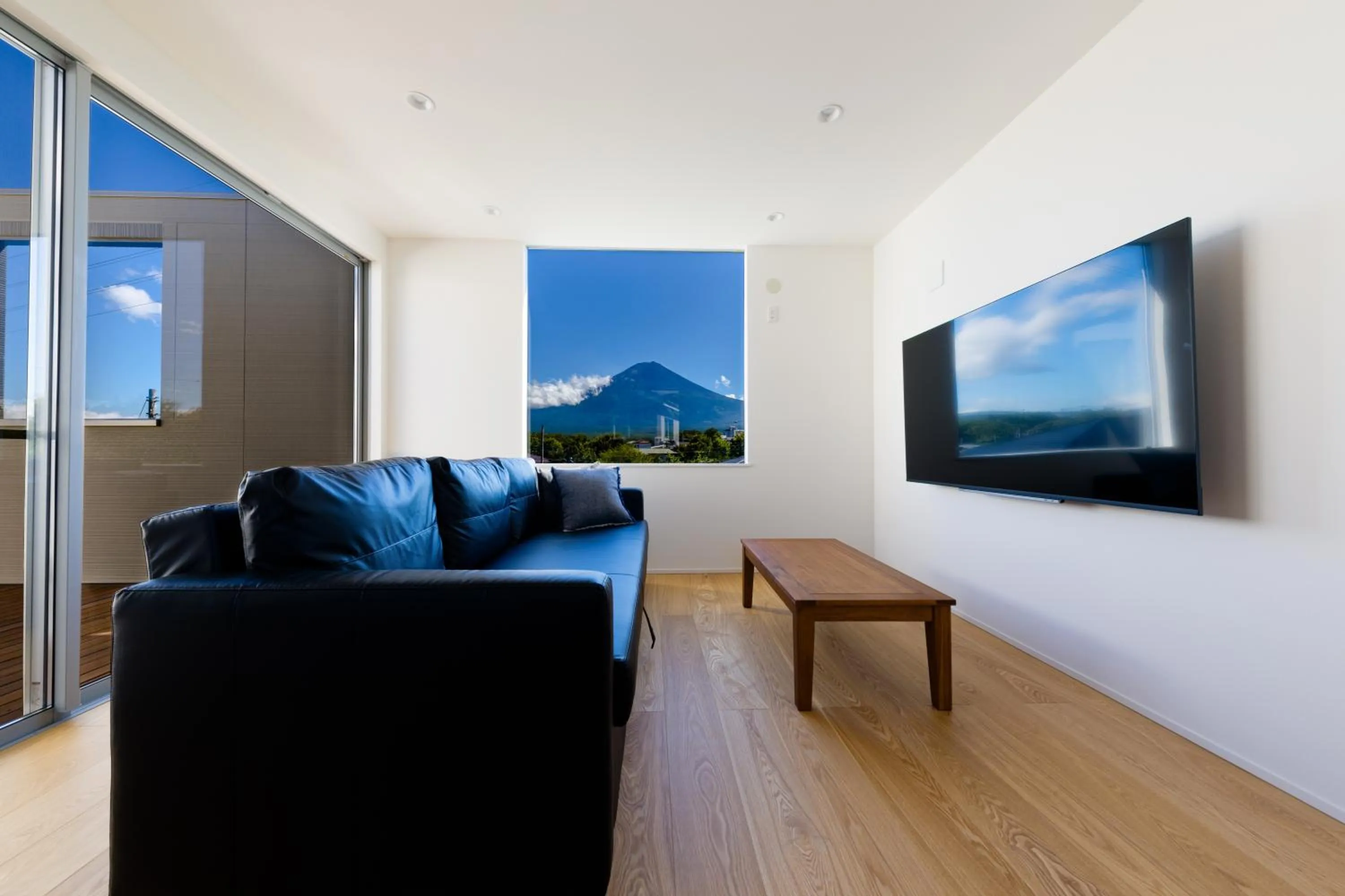TV and multimedia in Frame View Mt.Fuji -west-