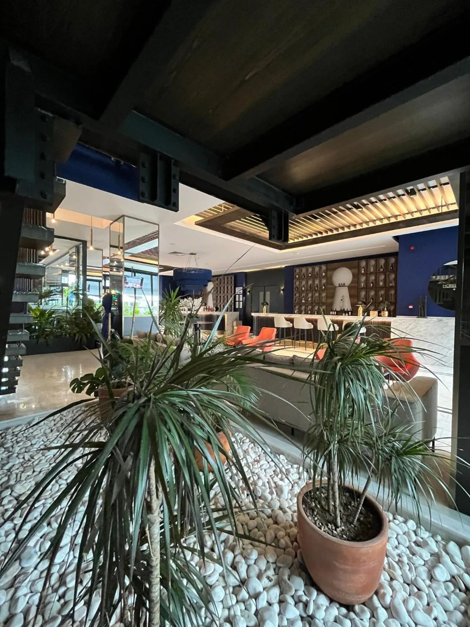 Lobby or reception in Hotel Bonvie