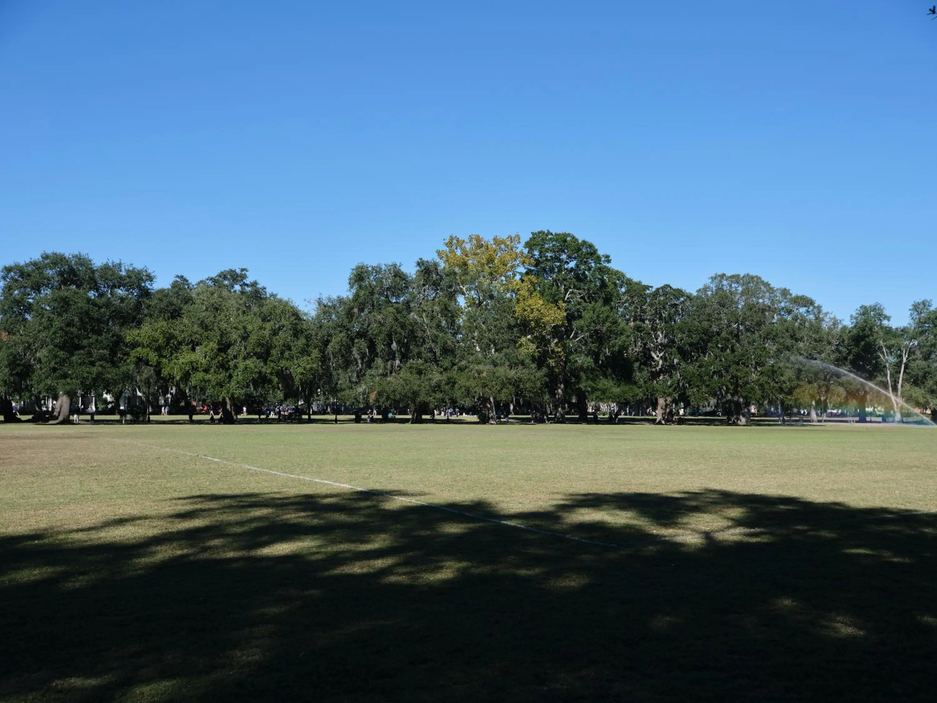 Other in 111 Waldburg street Beautifully Renovated Historic 5 bedroom 5 bath