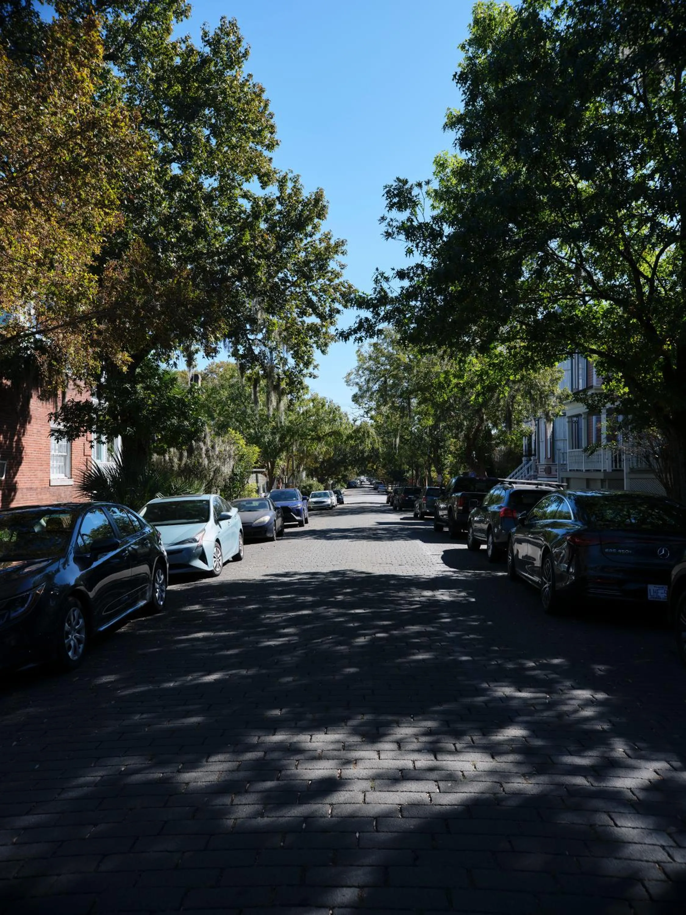 Street view in 111 Waldburg street Beautifully Renovated Historic 5 bedroom 5 bath