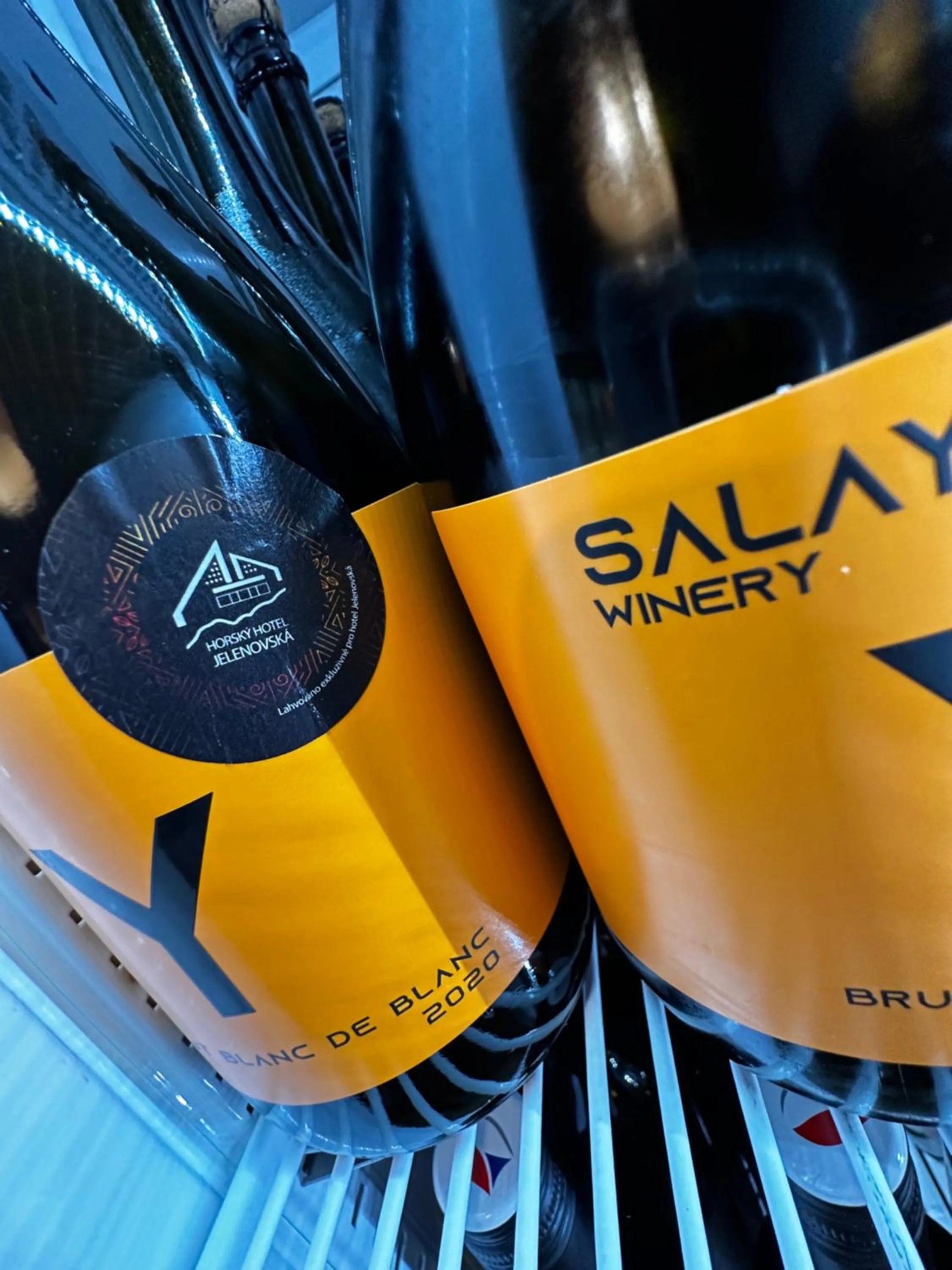 Horský hotel Jelenovská s bazénem v ceně