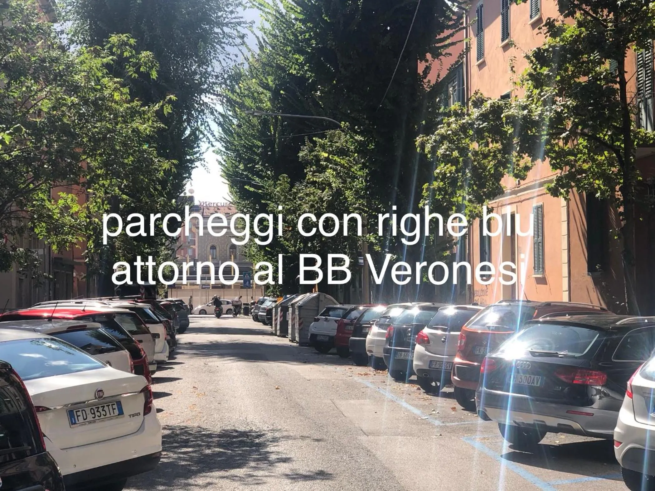 Area and facilities in BB Veronesi