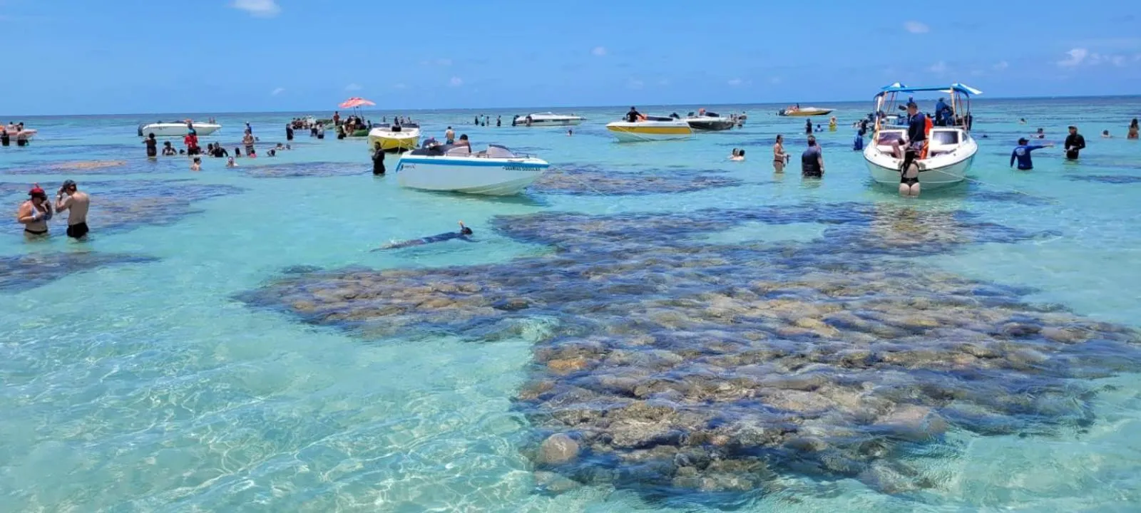 Diving in AYRE GOSTOSO POUSADA