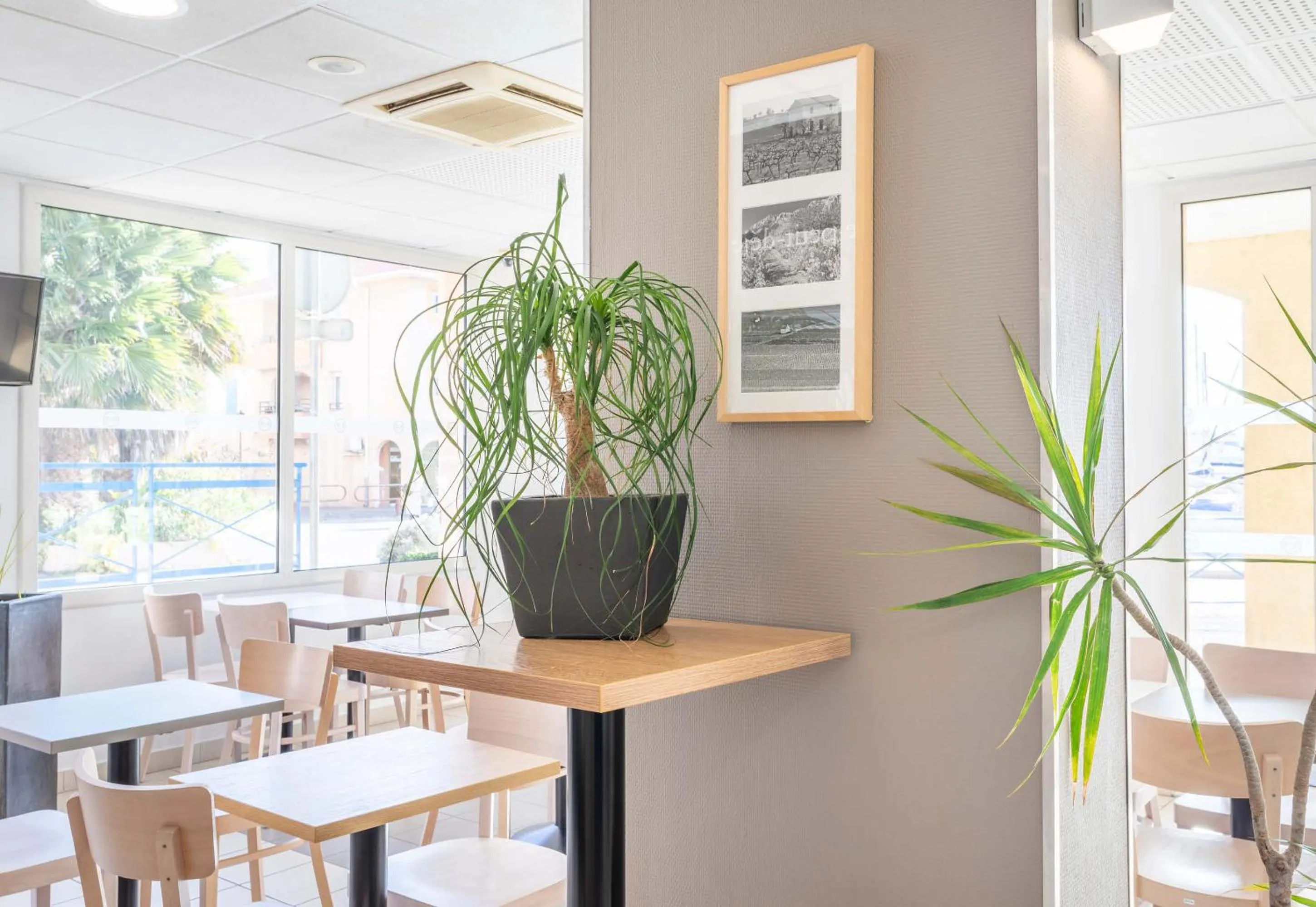 Decorative detail in B&B HOTEL Martigues Port-de-Bouc