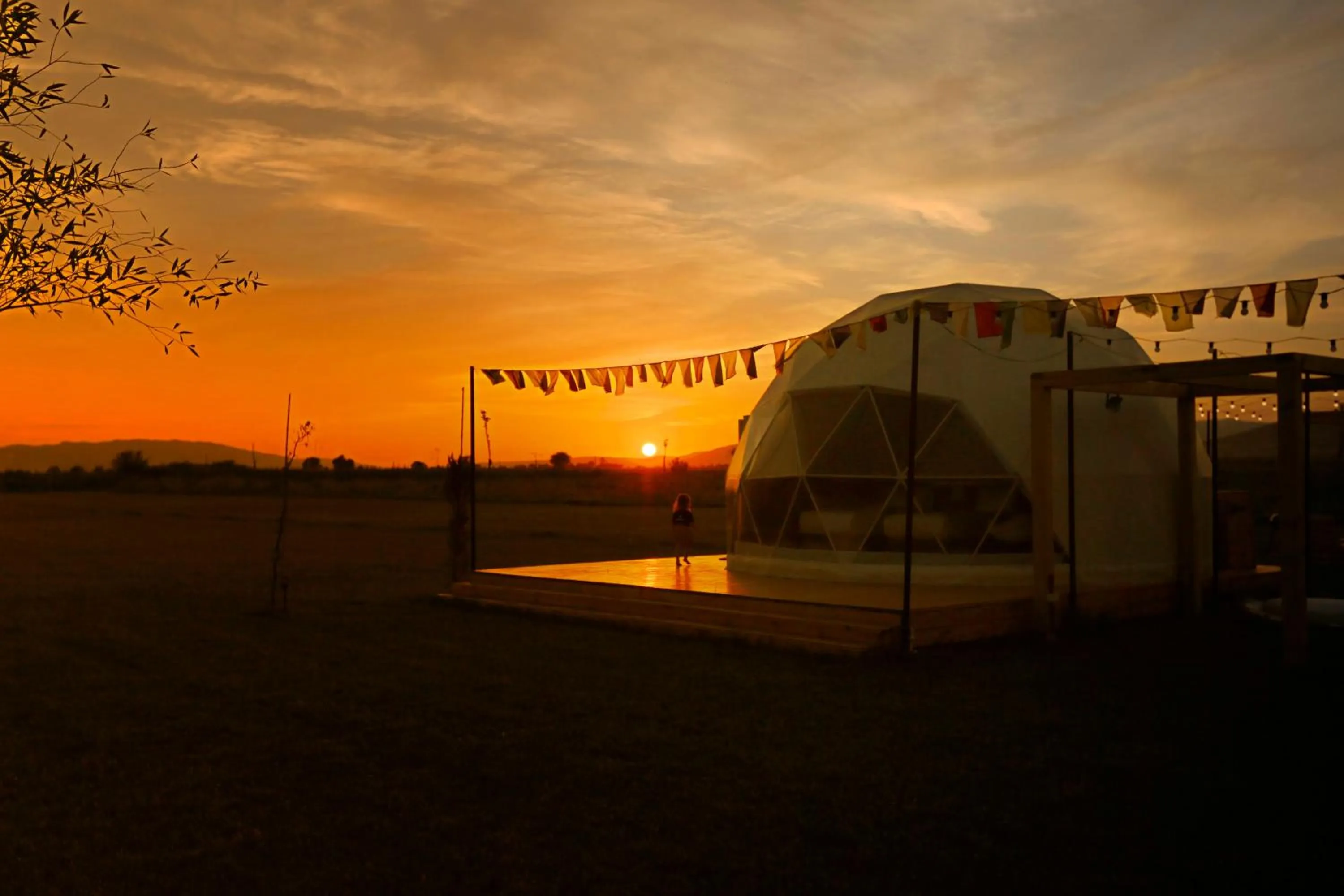 Natural landscape in Jewelberry Glamping Hotel Tbilisi