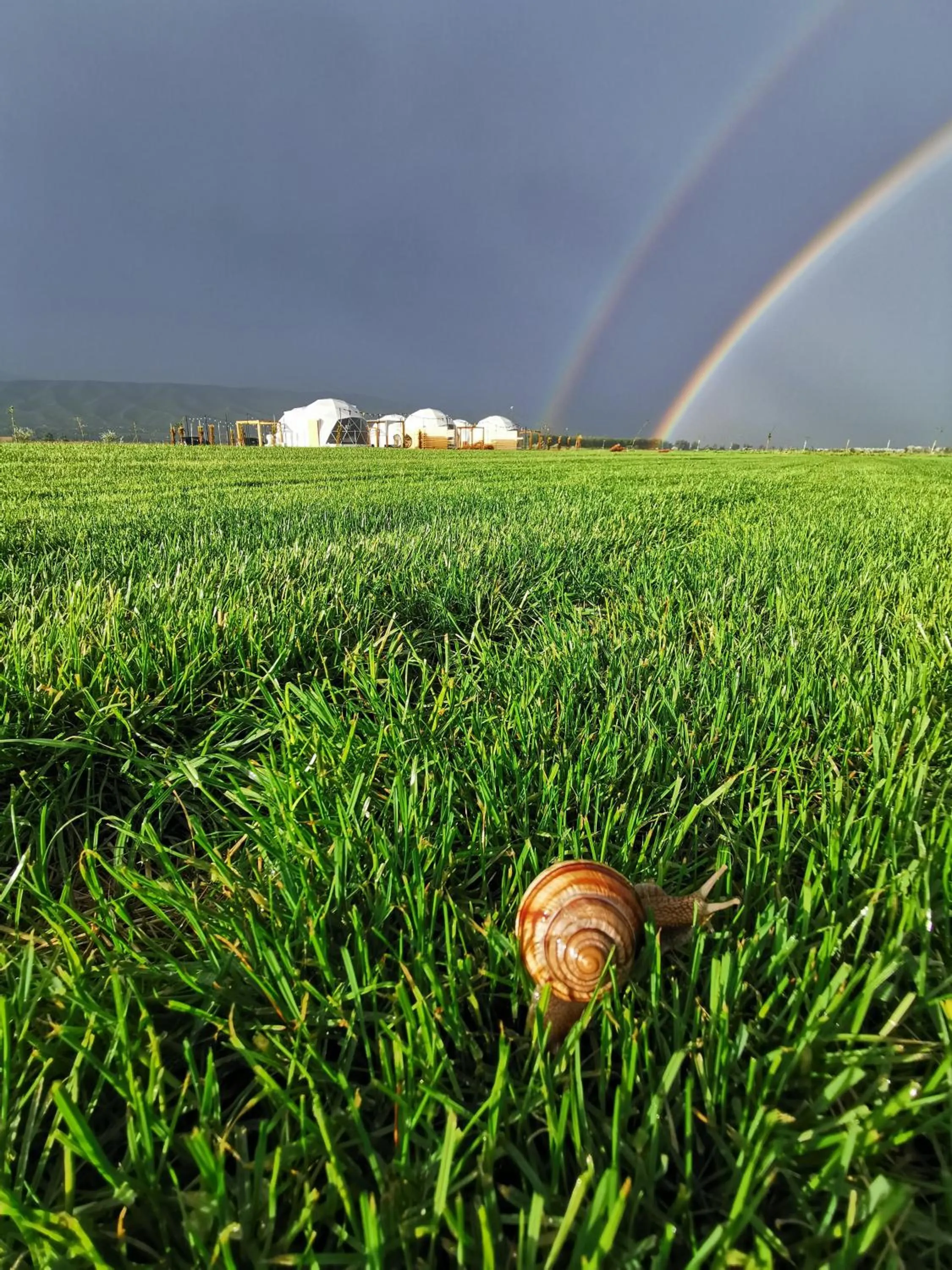 Natural landscape, Other Animals in Jewelberry Glamping Hotel Tbilisi