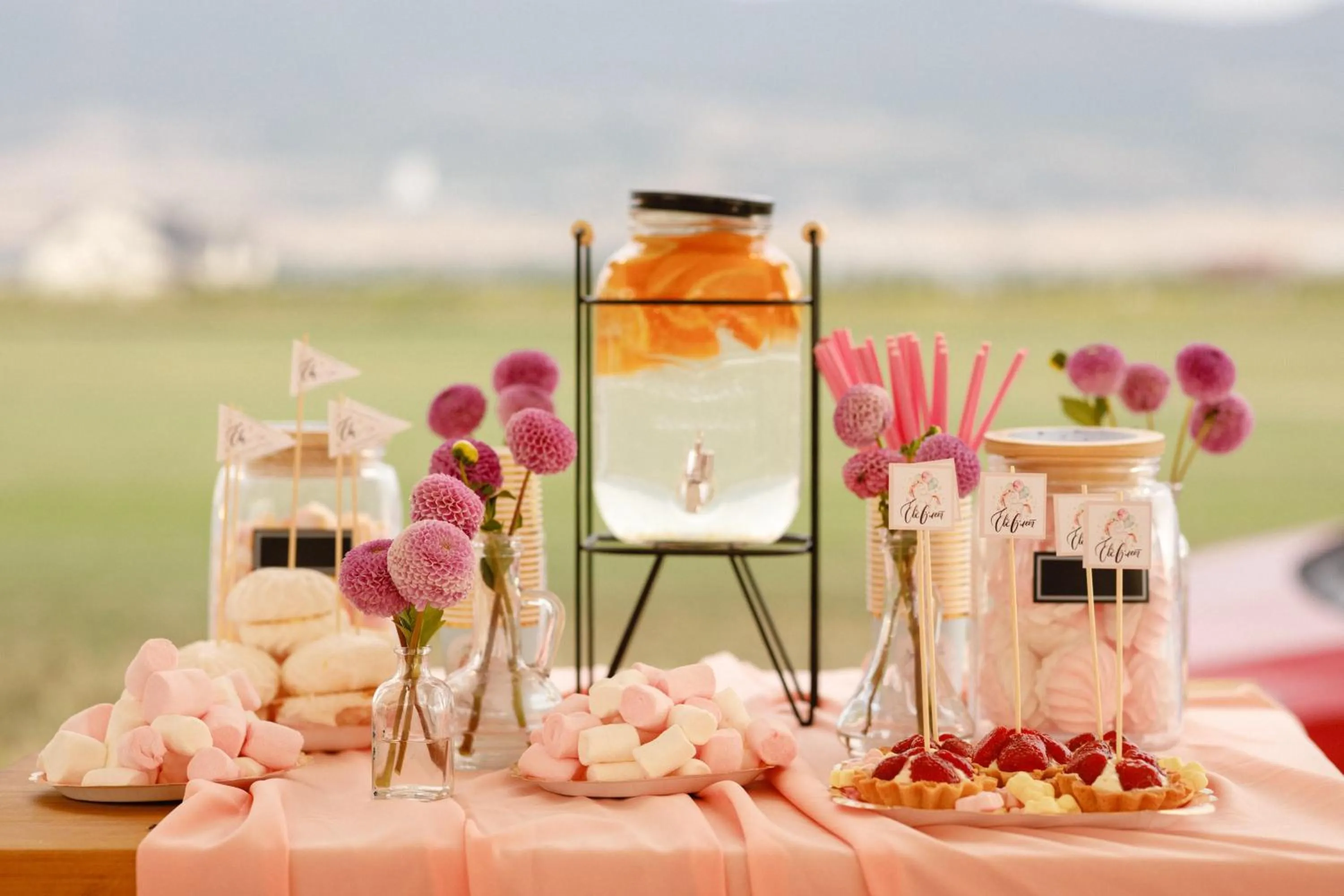 Food and drinks in Jewelberry Glamping Hotel Tbilisi