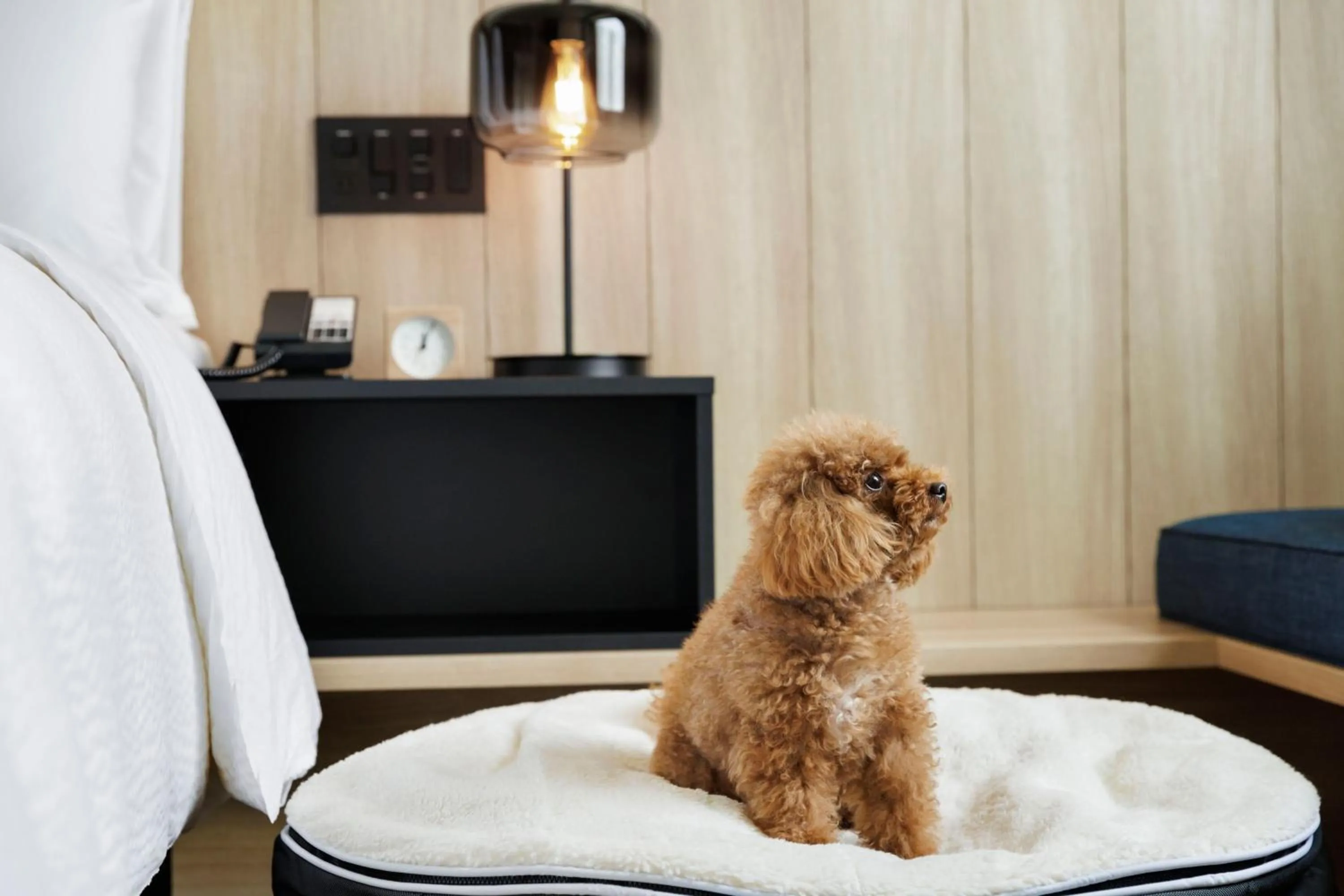 Photo of the whole room in Fairfield by Marriott Kyoto Kyotamba