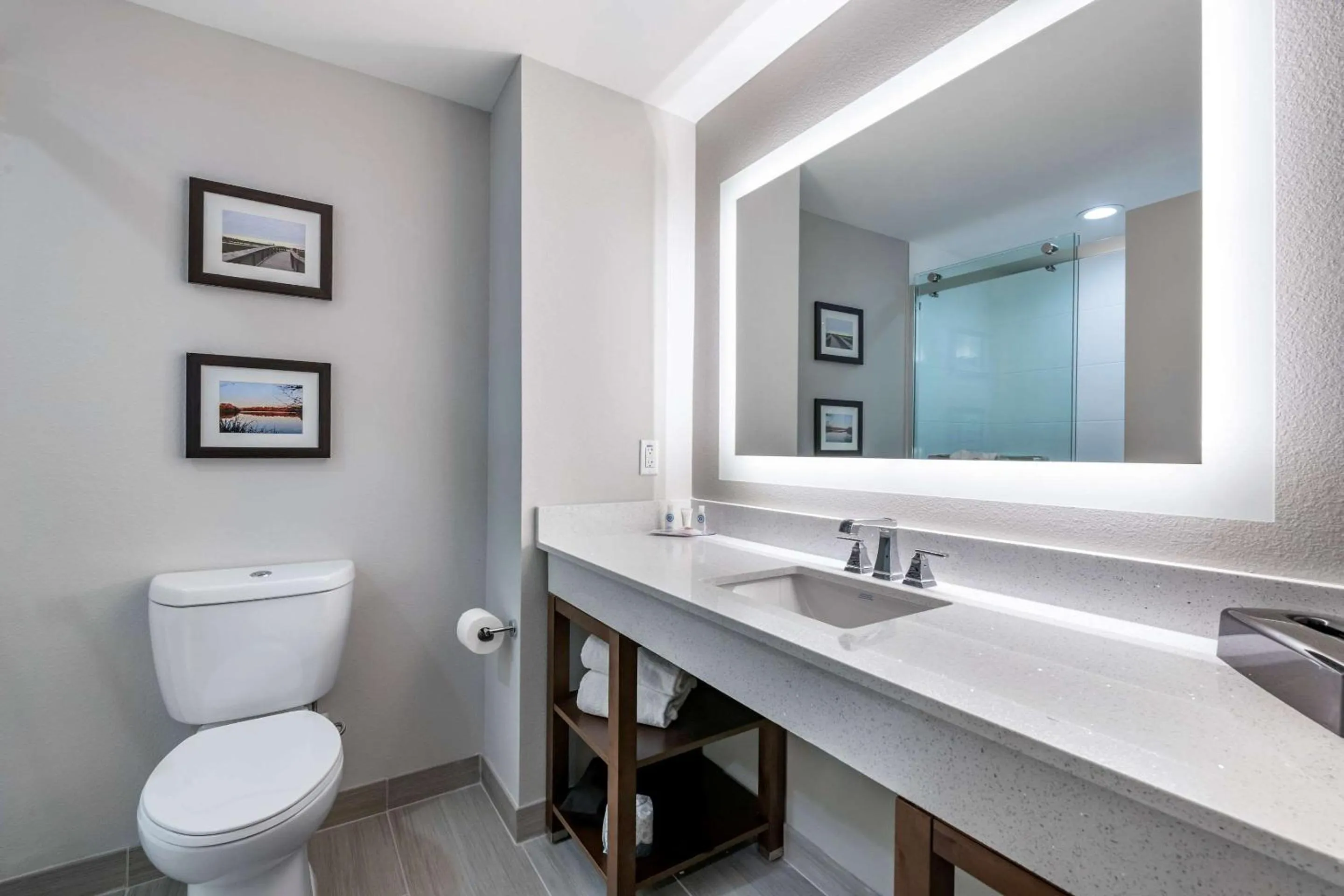 Bedroom in Comfort Suites Gainesville Near University