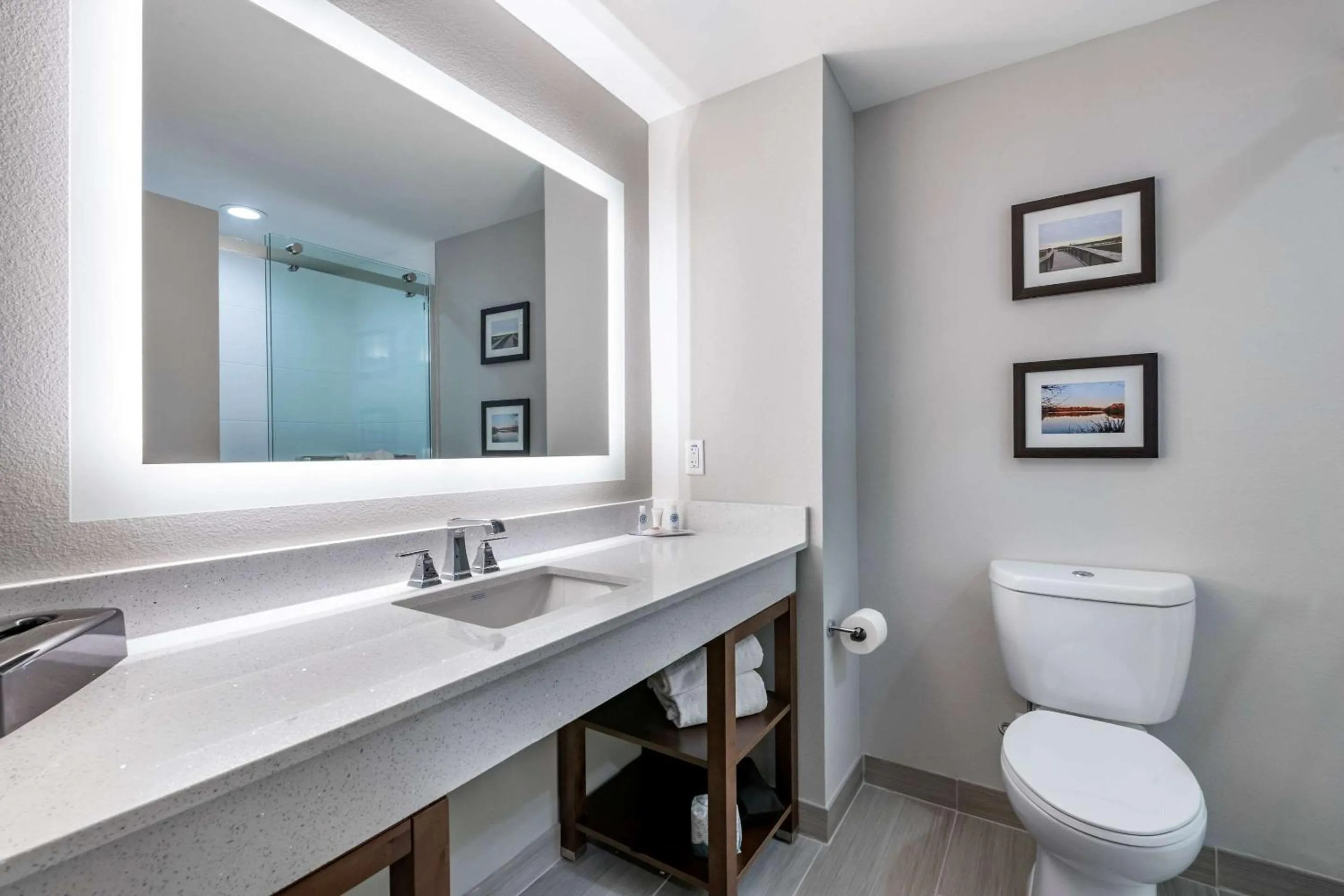 Bedroom in Comfort Suites Gainesville Near University