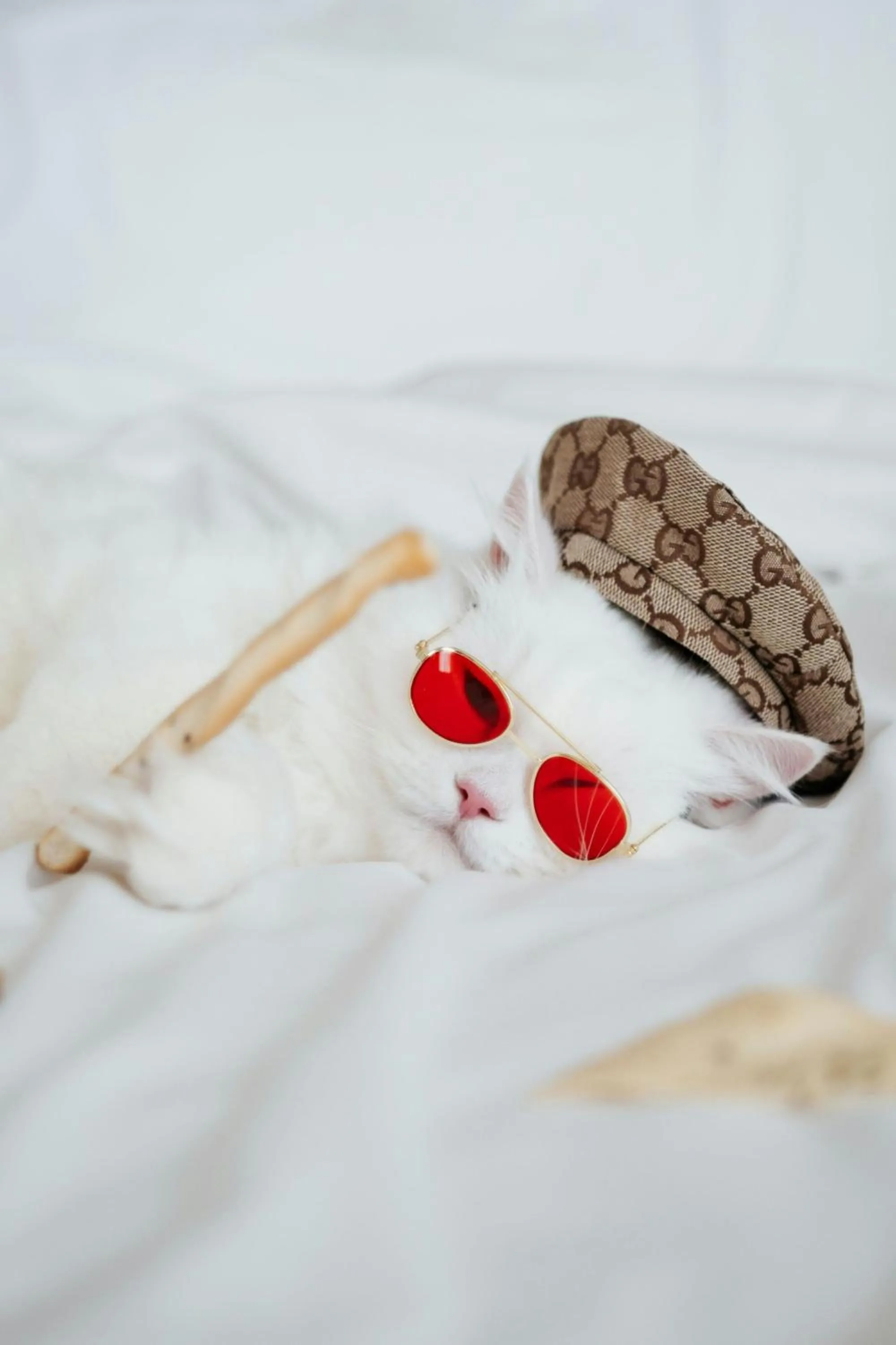 Other in Hotel Boulevard, Autograph Collection, Downtown Dubai