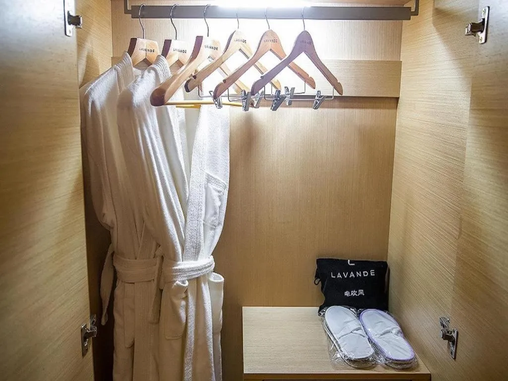 Lavande Hotel Leshan High-speed Railway Station Wanda Plaza