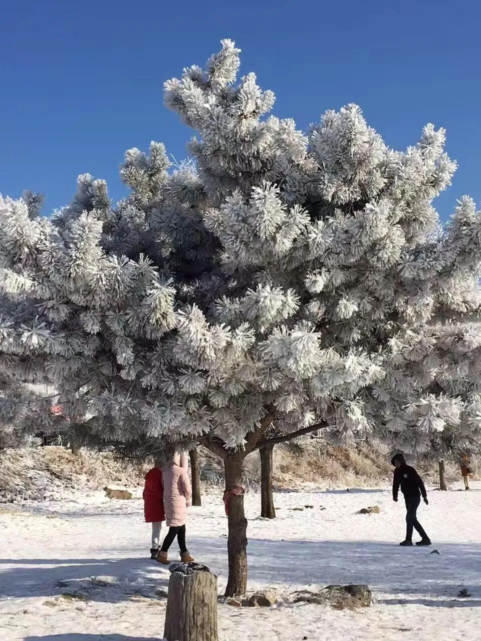 Lavande Hotel Jilin Songjiang Road Jiangwan Bridge Branch