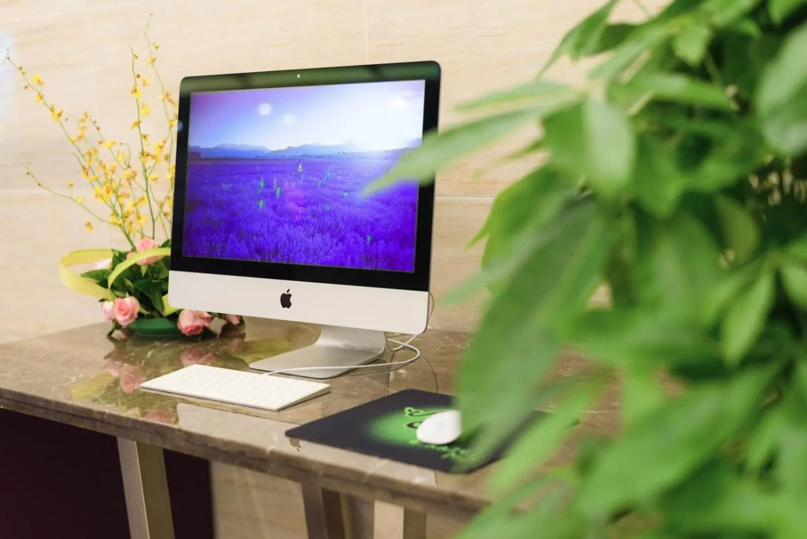 Lavande Hotel Guangzhou Sunac Cultural Tourism City Branch