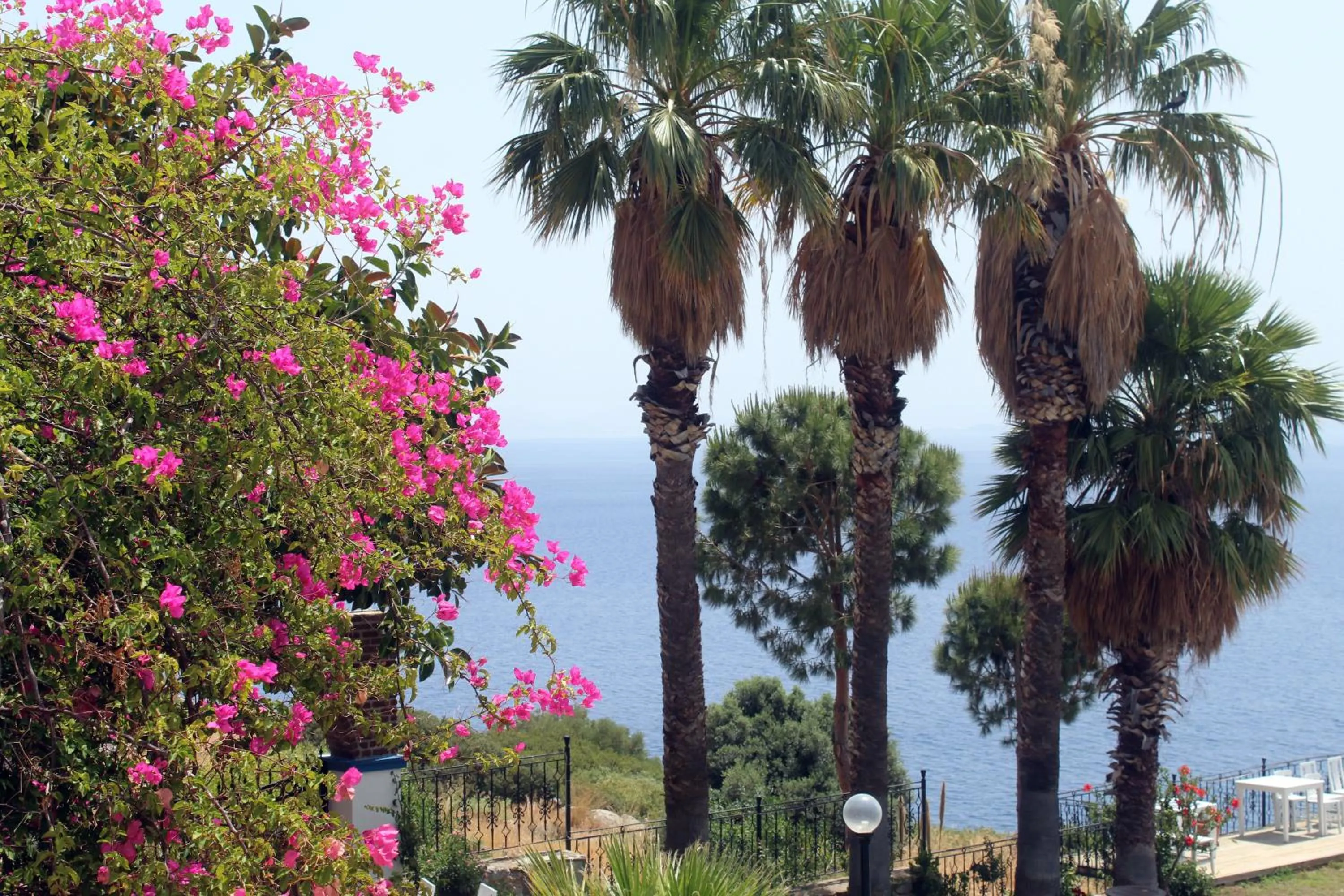 View (from property/room) in Datca Villa Carla Hotel