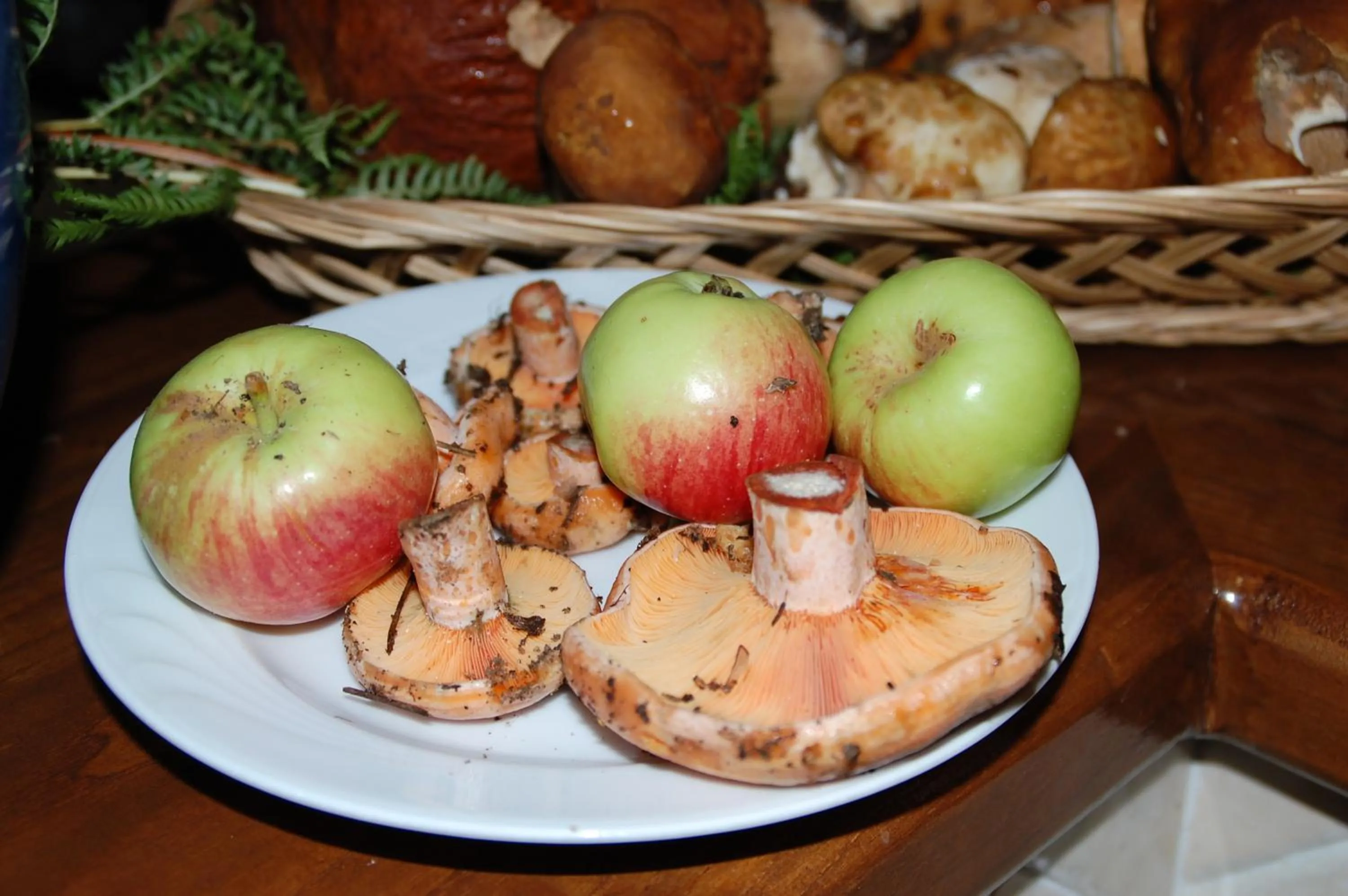 Autumn in Rifugio Casello Margherita