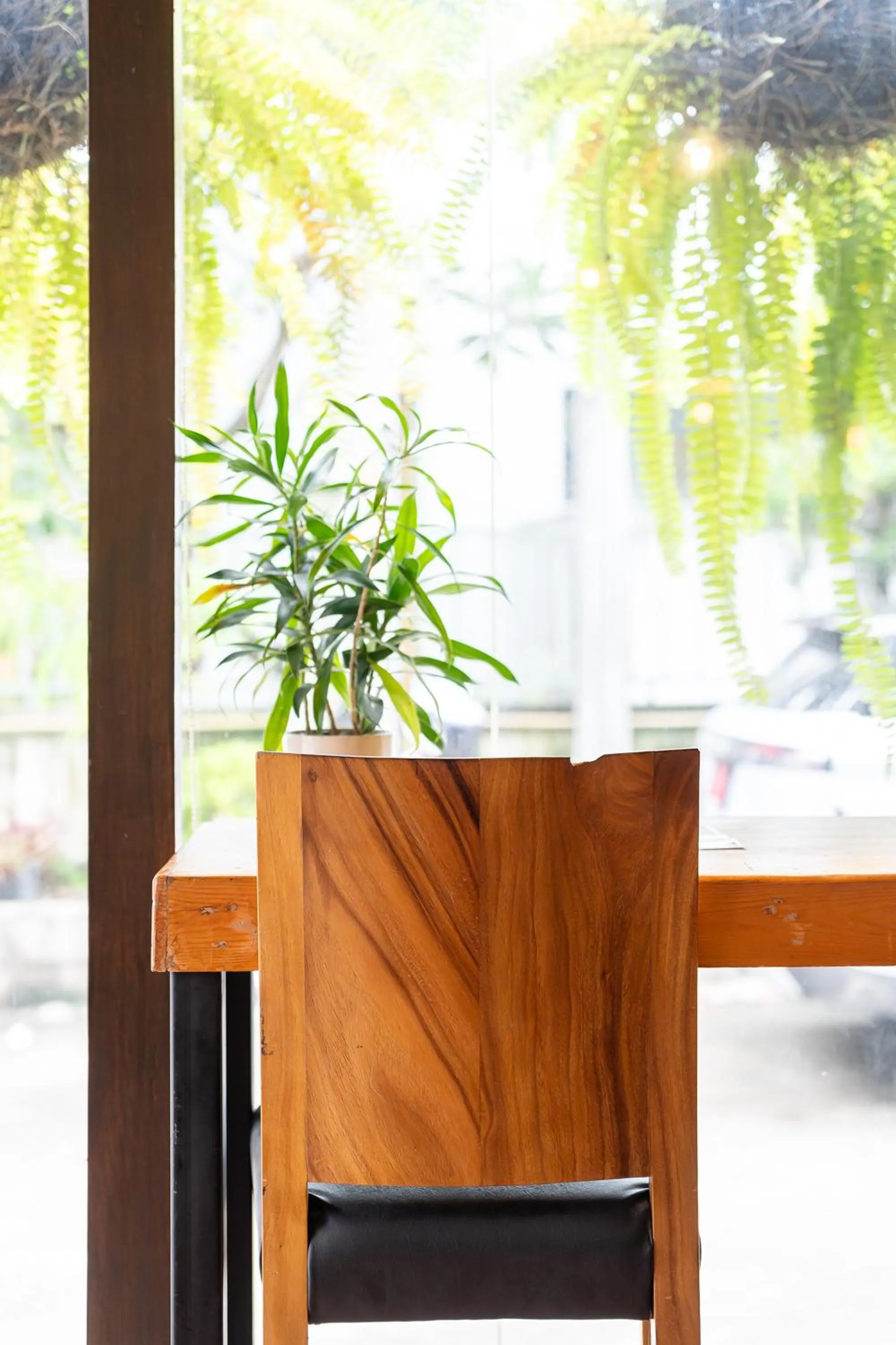 Restaurant/places to eat in KAYAN Hostel