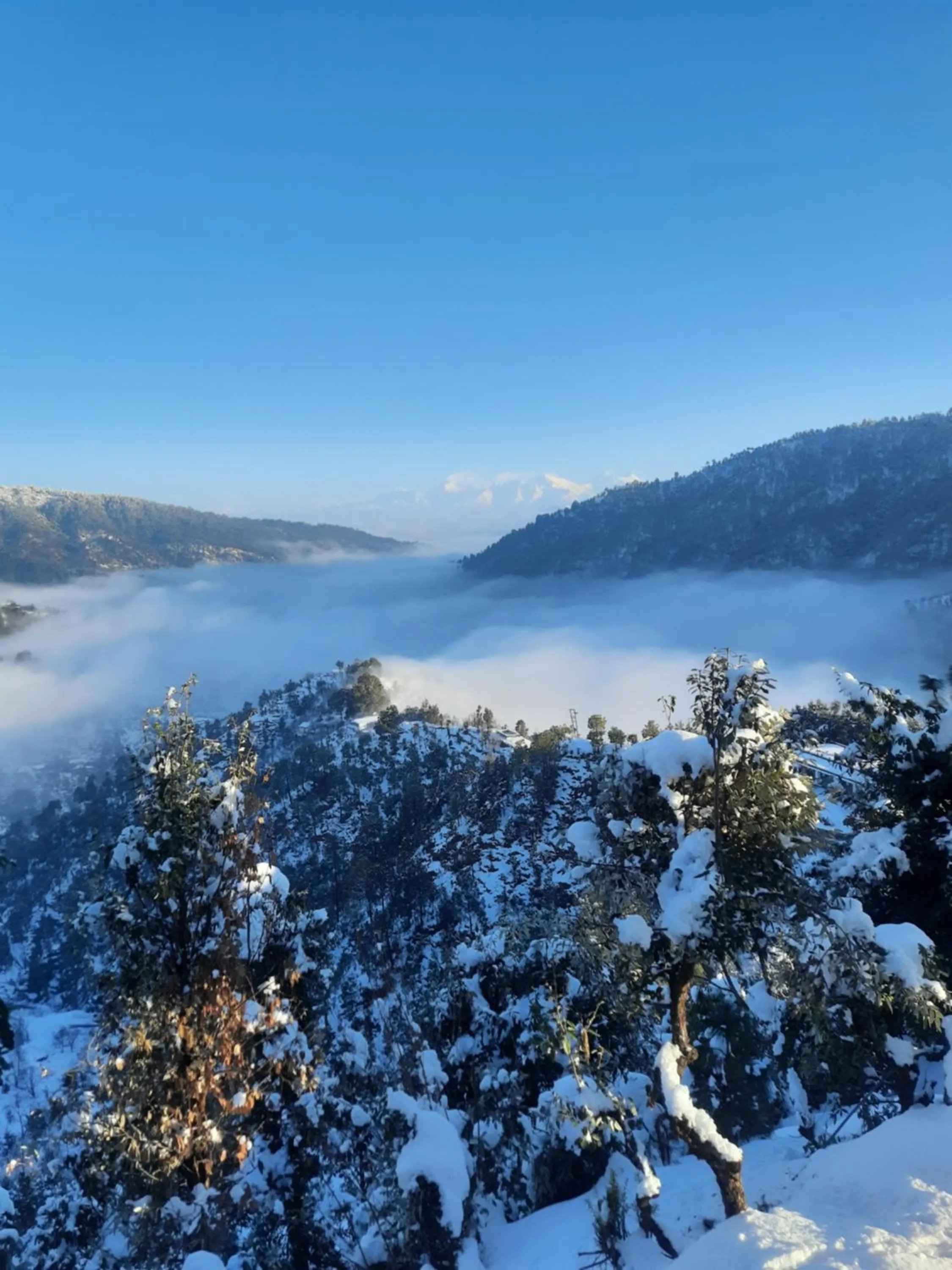 View (from property/room) in juSTa Mukteshwar Retreat & Spa