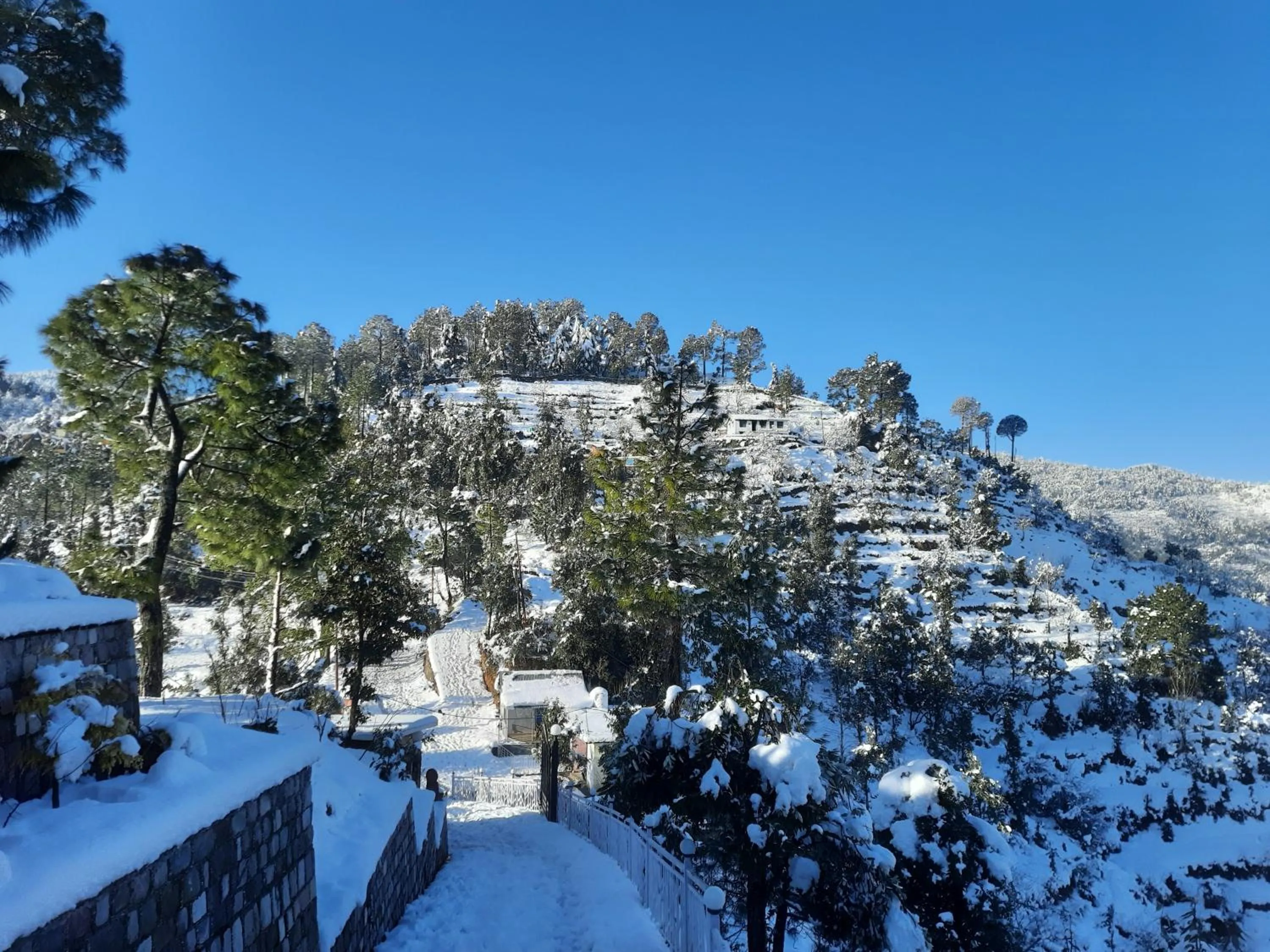 View (from property/room) in juSTa Mukteshwar Retreat & Spa