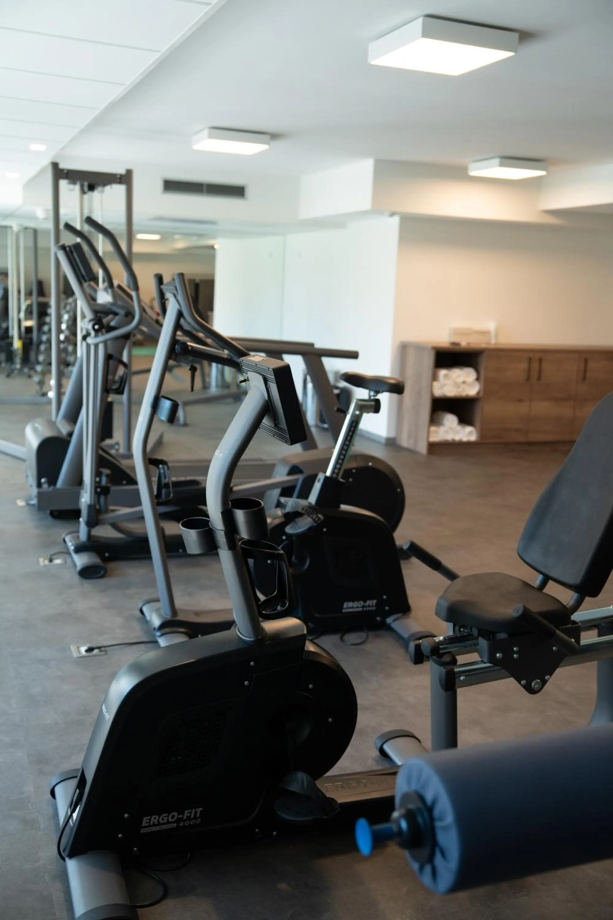 Fitness centre/facilities in Emils Hotel