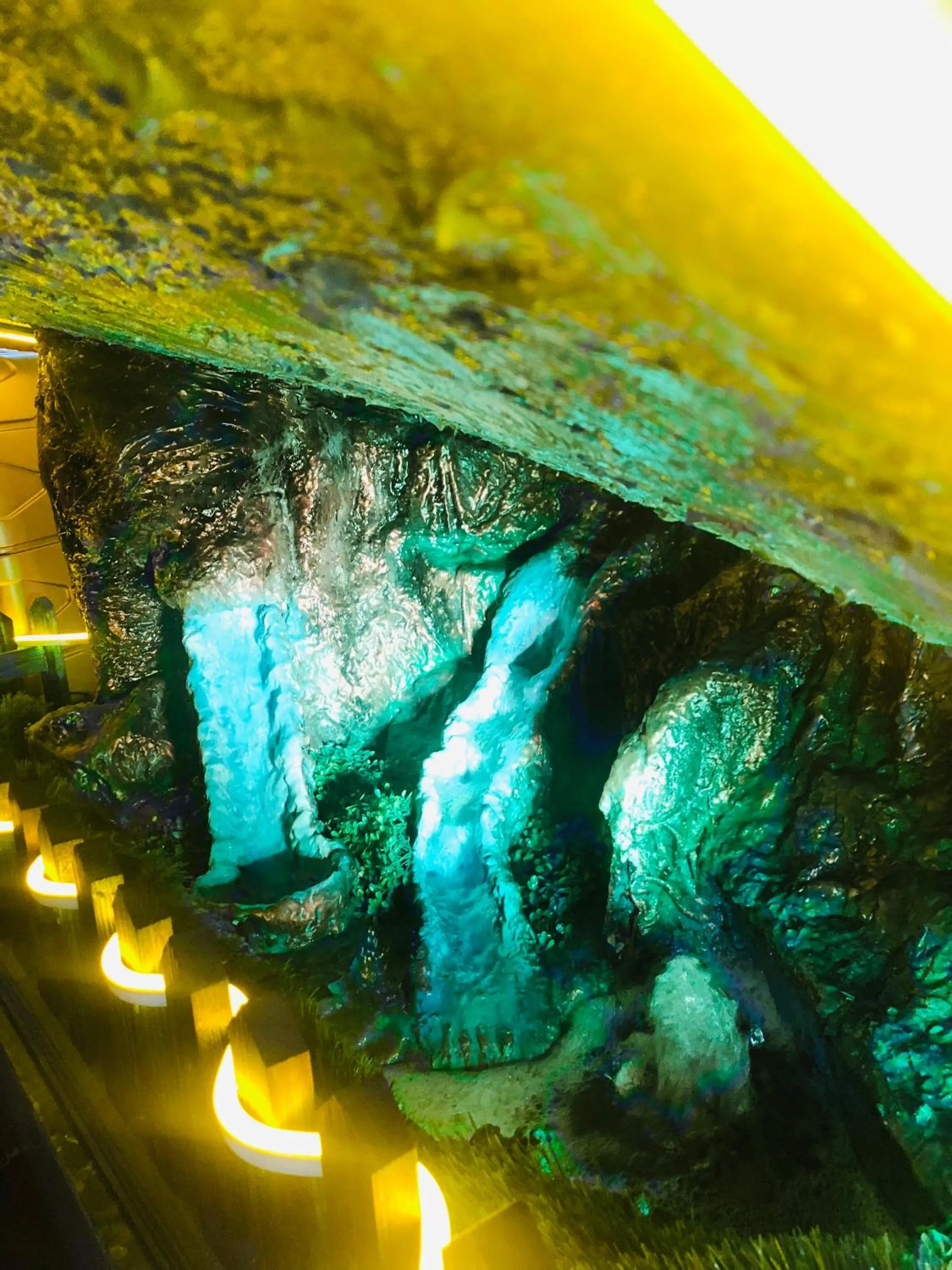 Natural landscape in Grand Mayfair Hotel