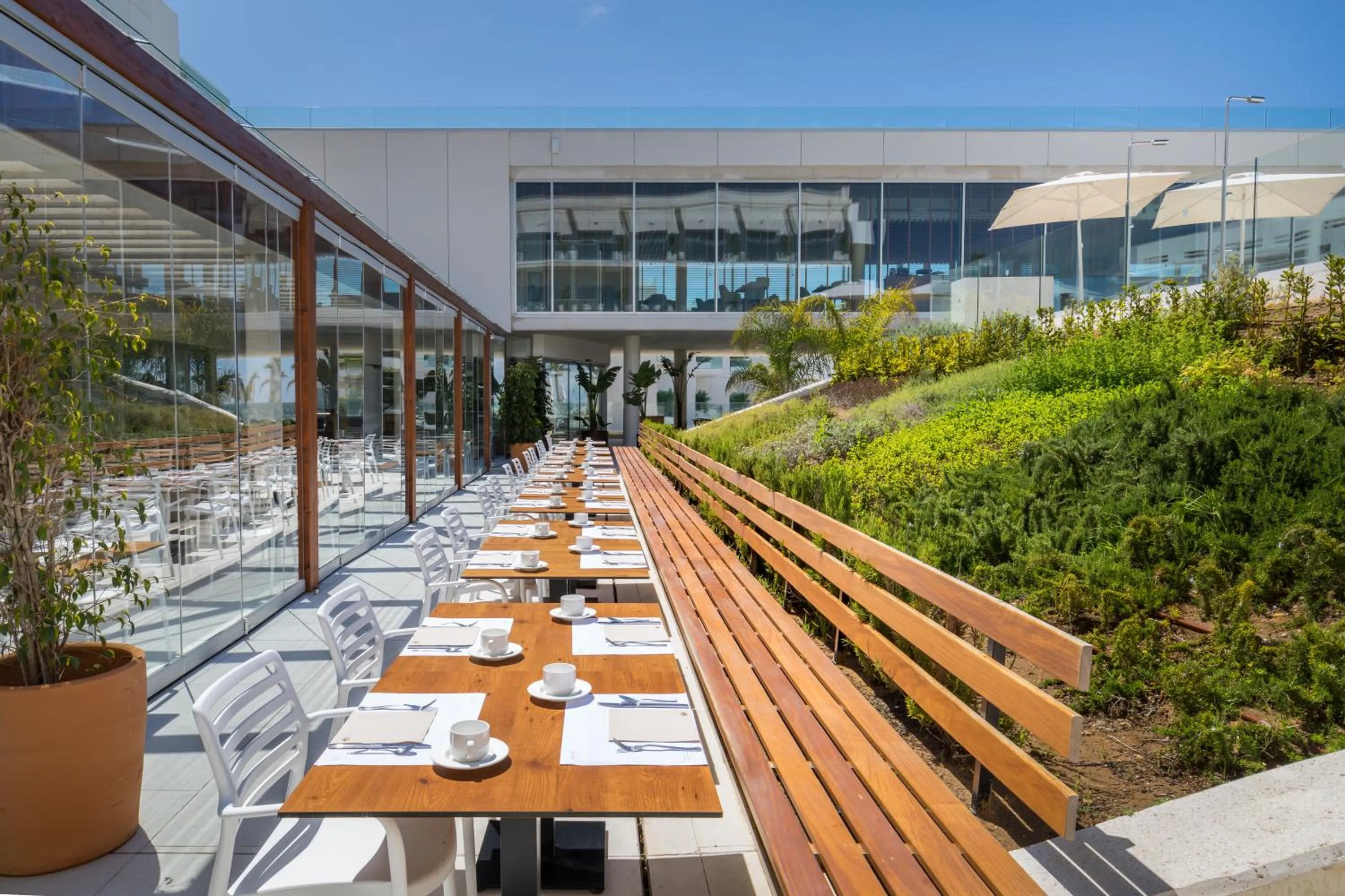 Restaurant/places to eat in Barceló Conil Playa - Adults Recommended