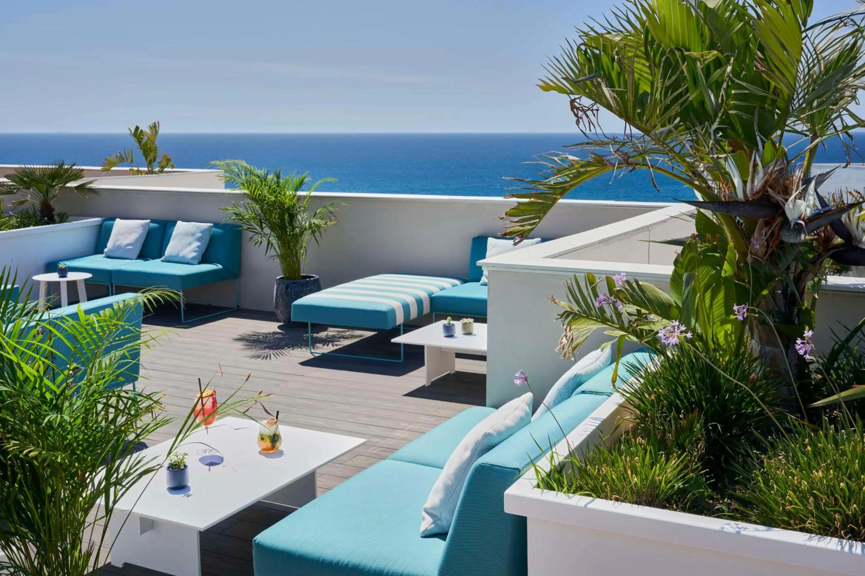 Lounge or bar in Barceló Conil Playa - Adults Recommended