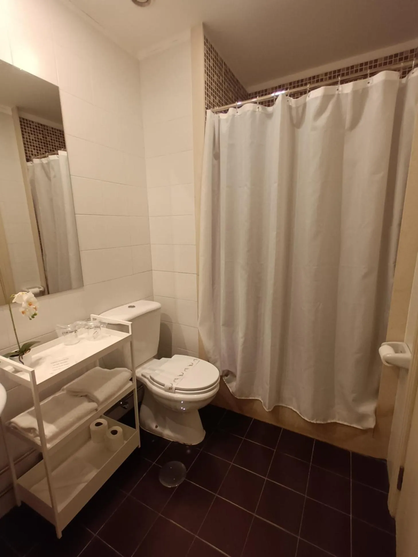 Toilet in Vilar Oporto Hotel