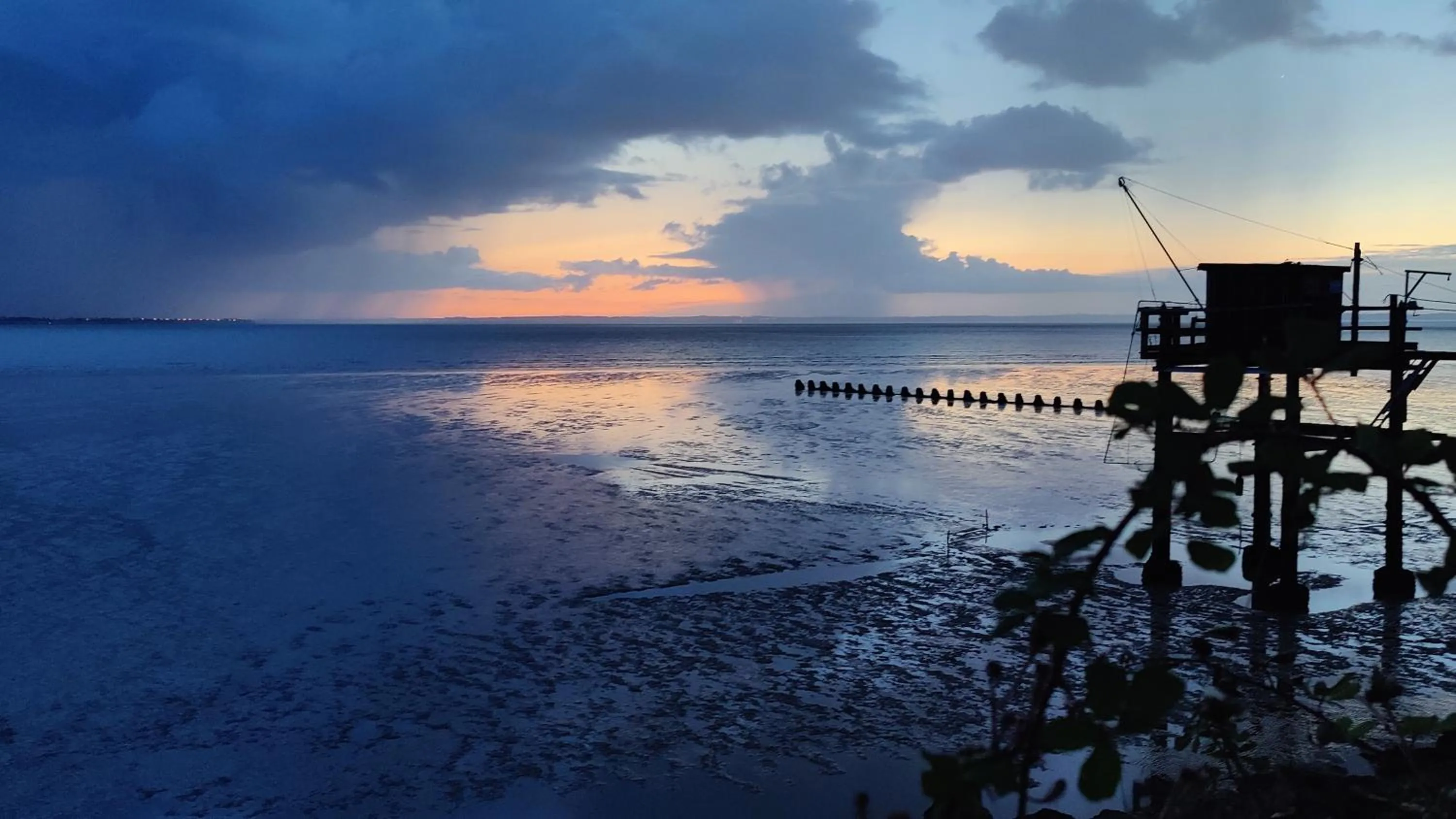 Natural landscape in Hôtel Michelet Plage