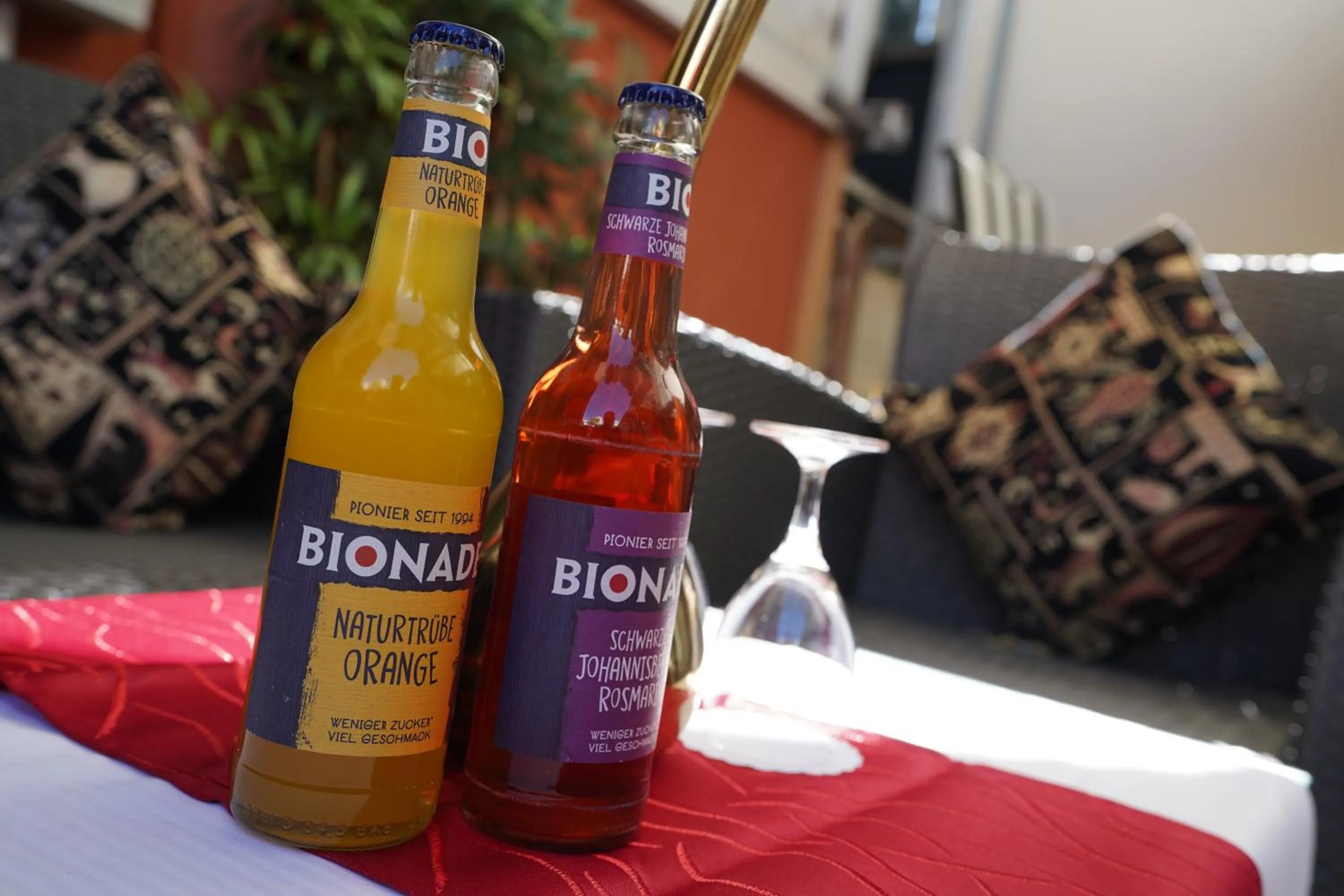 Garden in Hotel Villa Oriental & Restaurant                                               