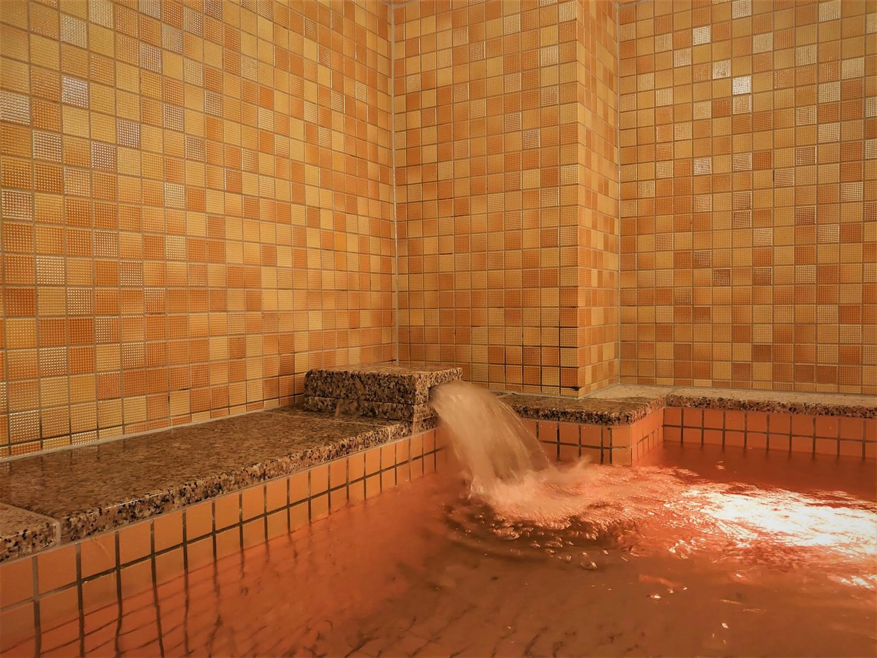 Public Bath in Green Rich Hotel Miyazaki Tachibandori 2 (Artificial hot spring Futamata Yunohana)