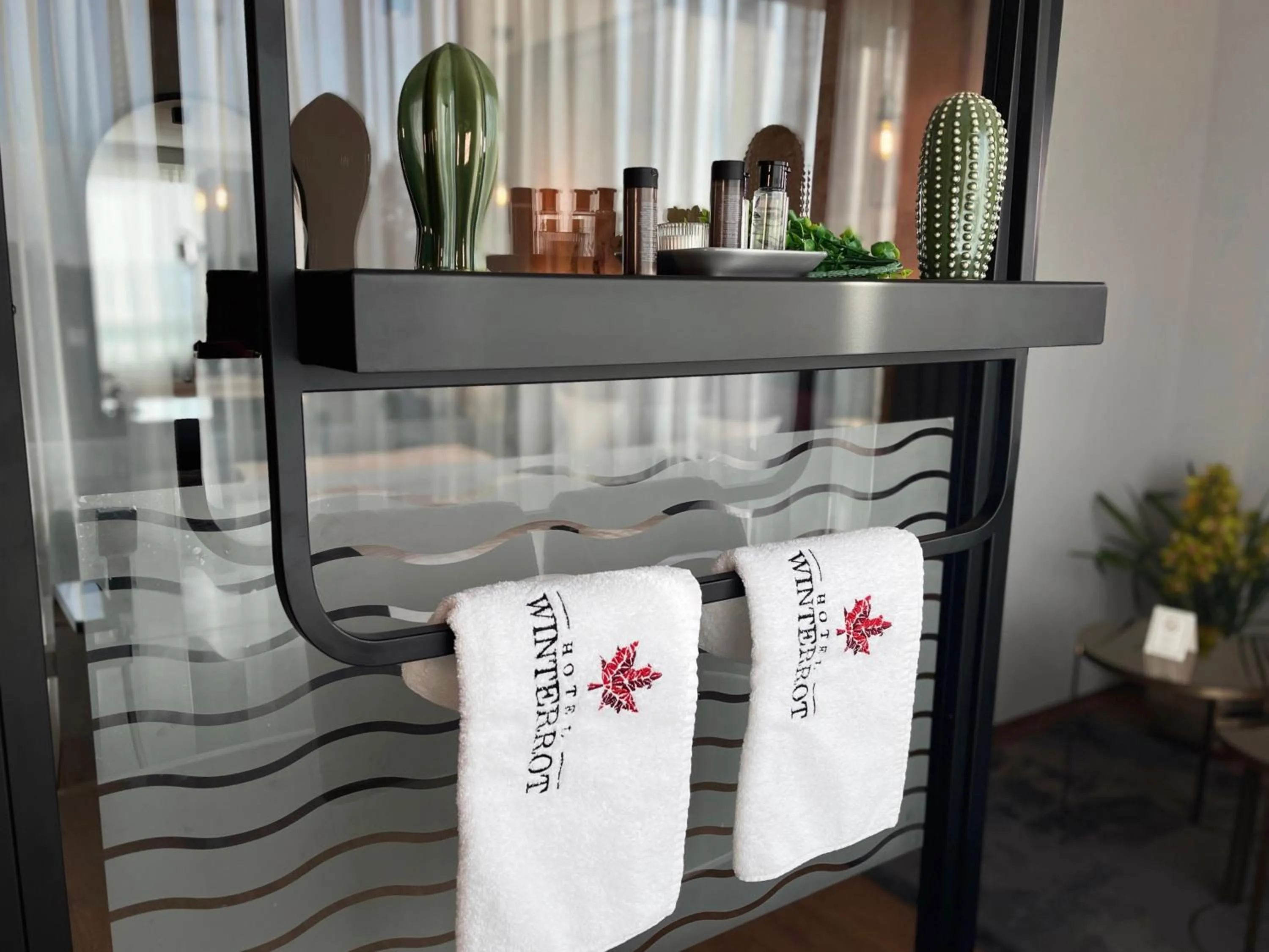 Photo of the whole room in Design Hotel Winterrot