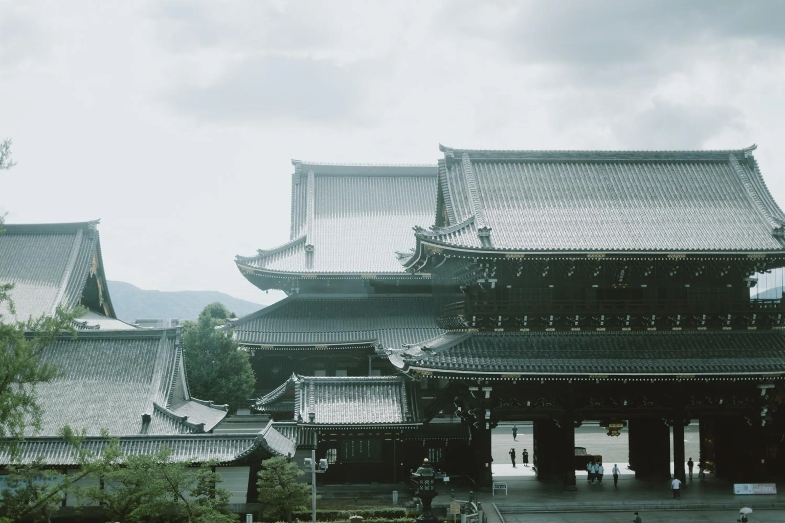 View (from property/room) in 20 PIECES