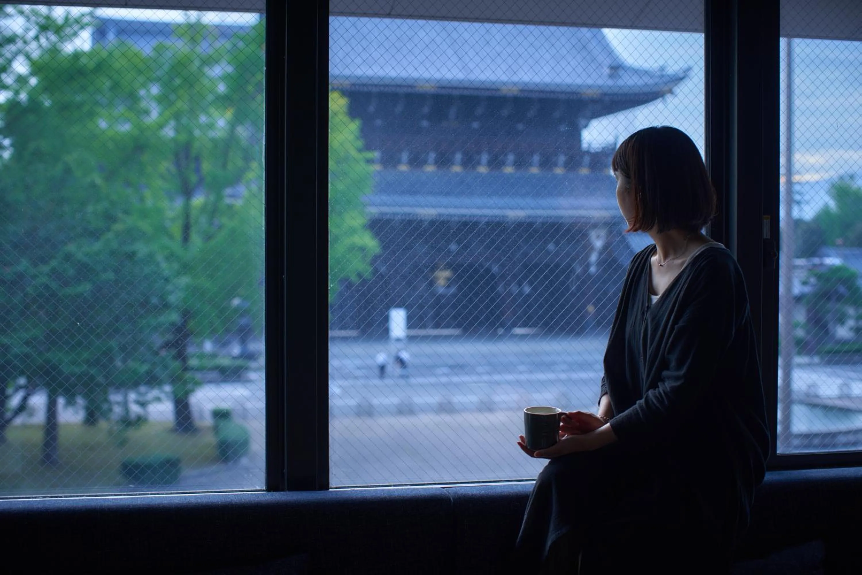 View (from property/room) in 20 PIECES