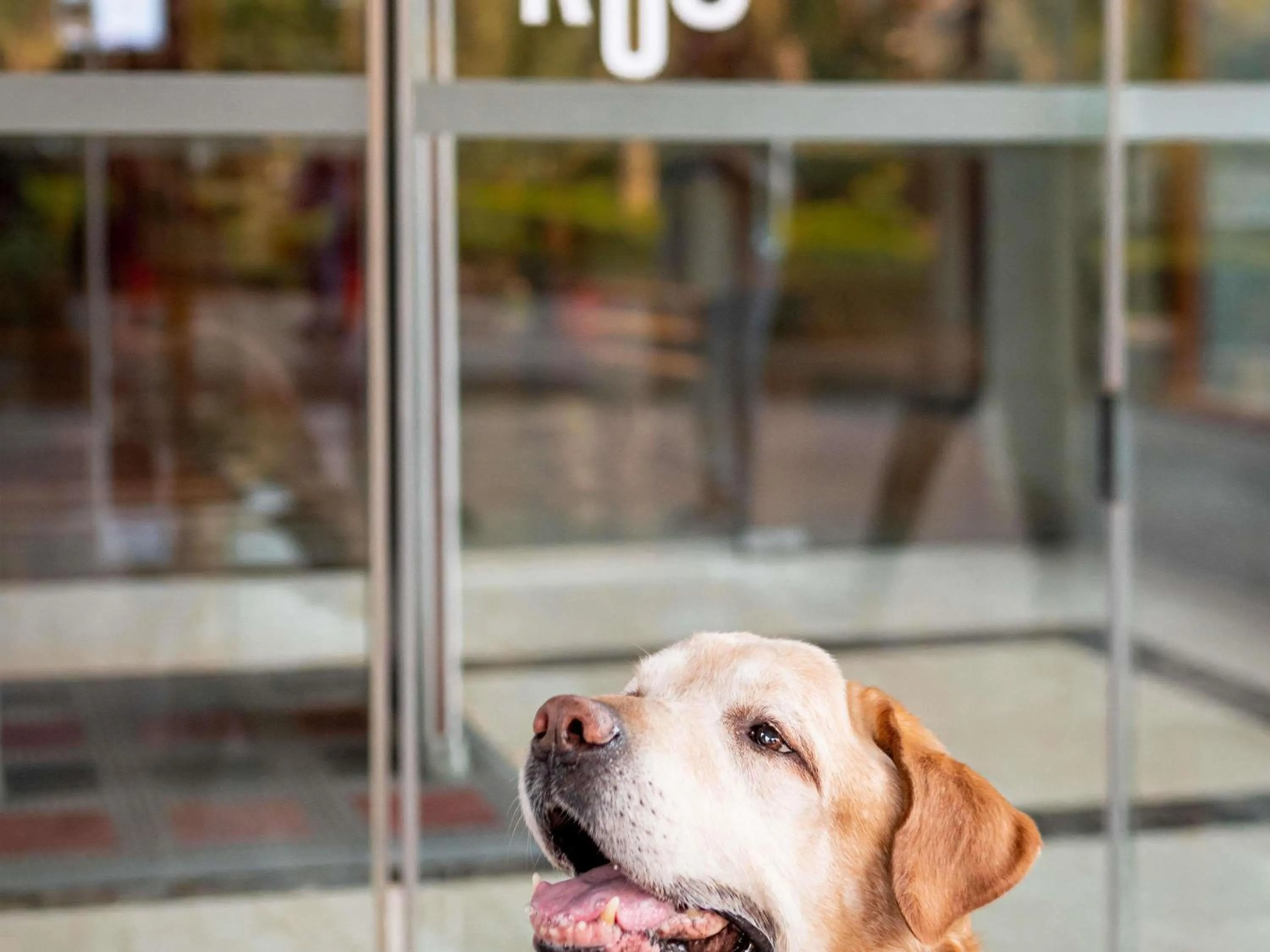 Other in Hôtel Ibis Cognac Centre