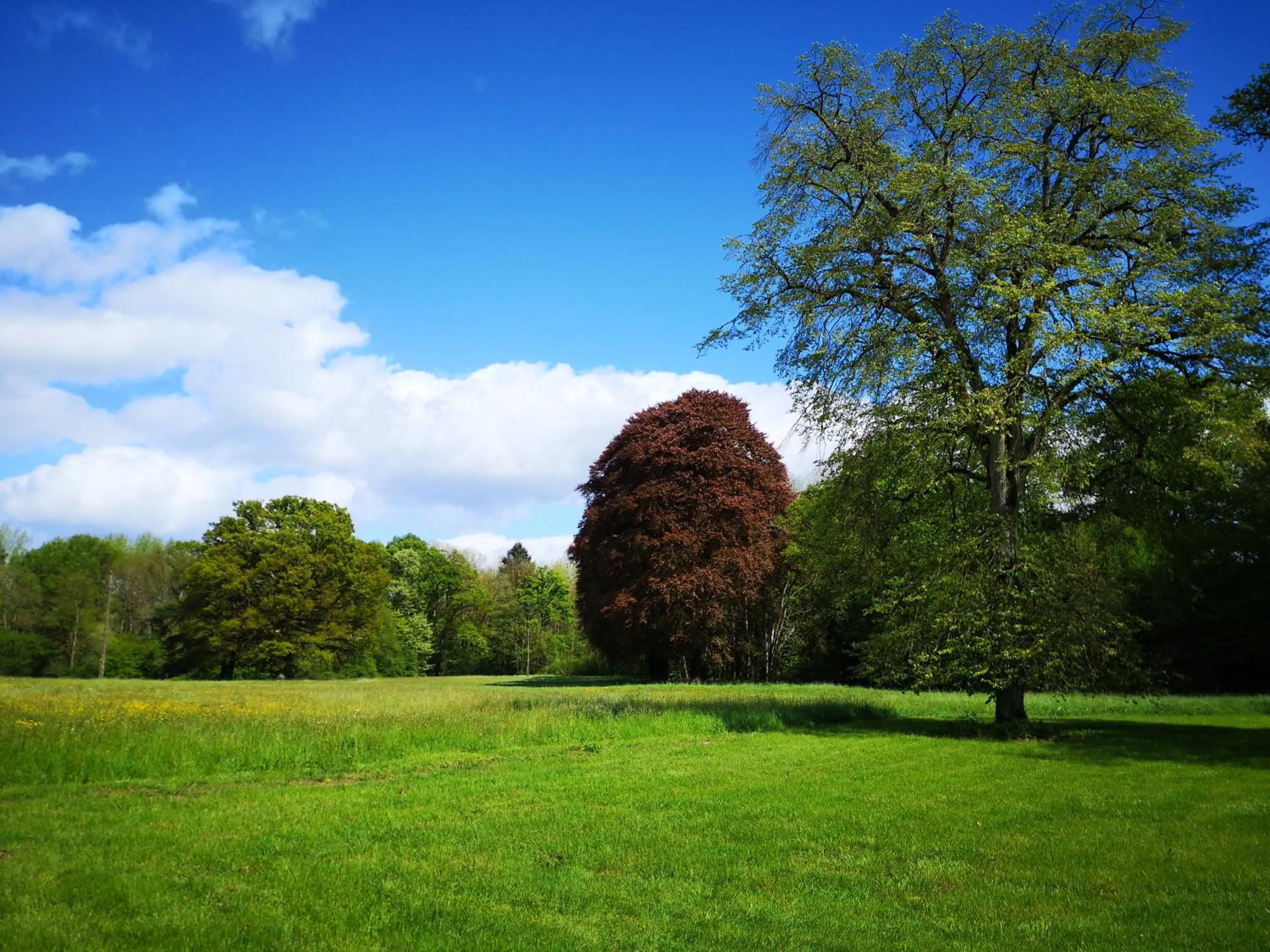 Domaine des Longrais