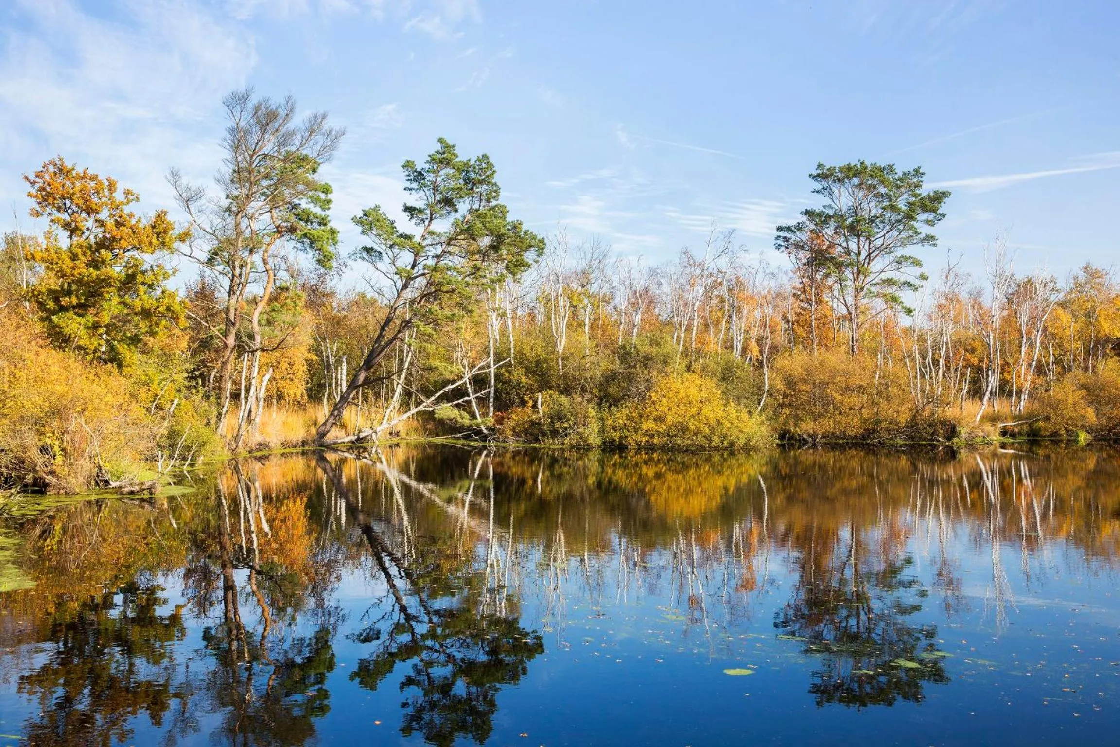 Nearby landmark in Strandhotel Dünenmeer - Adults only