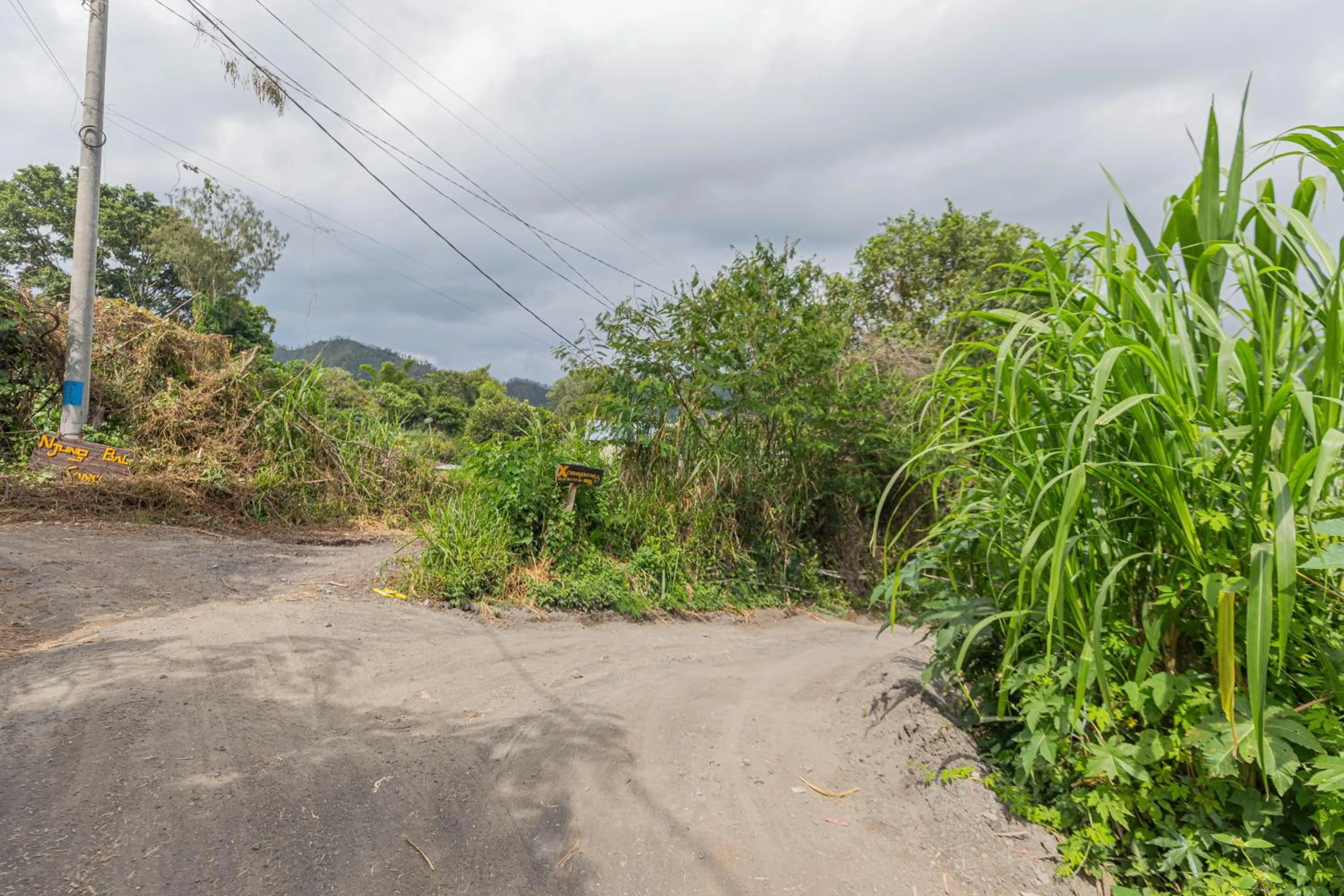 Natural landscape in Cabana Bali Villa