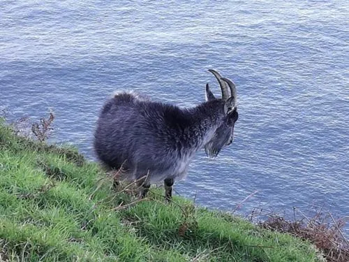 View (from property/room) in St Vincent Guest House