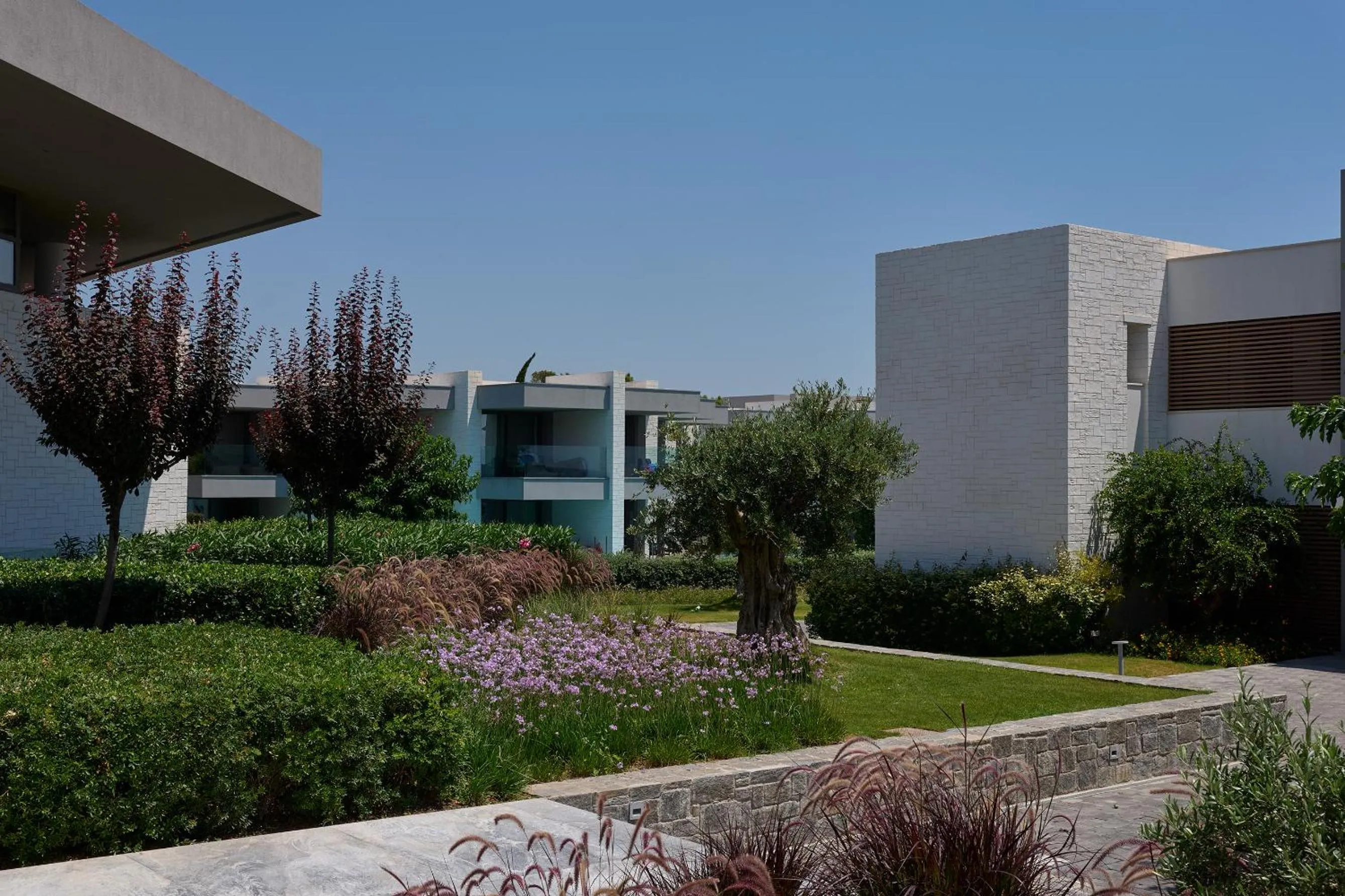 Garden in Atlantica Dreams Resort