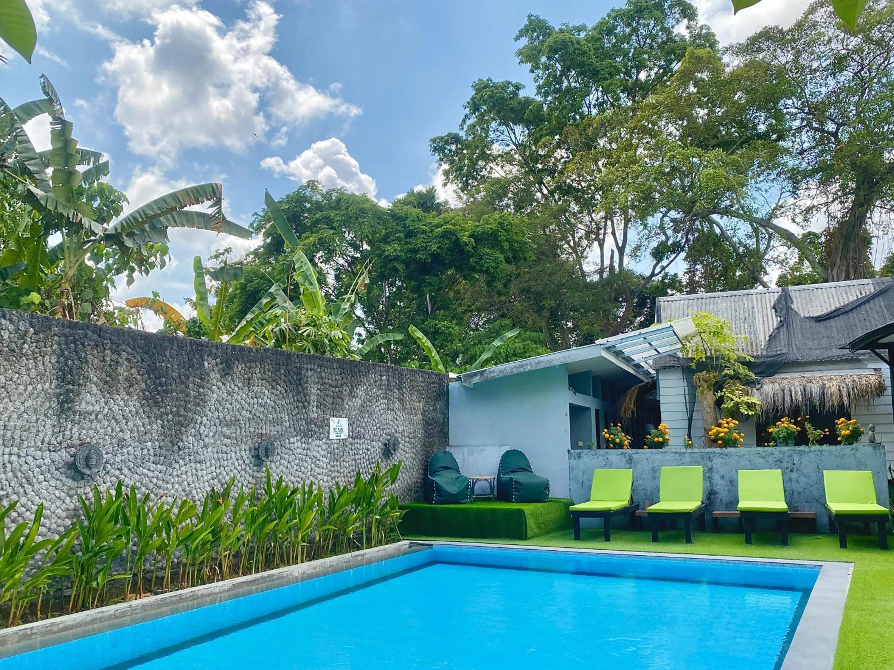 Pool view in The Jungle Hostel Canggu
