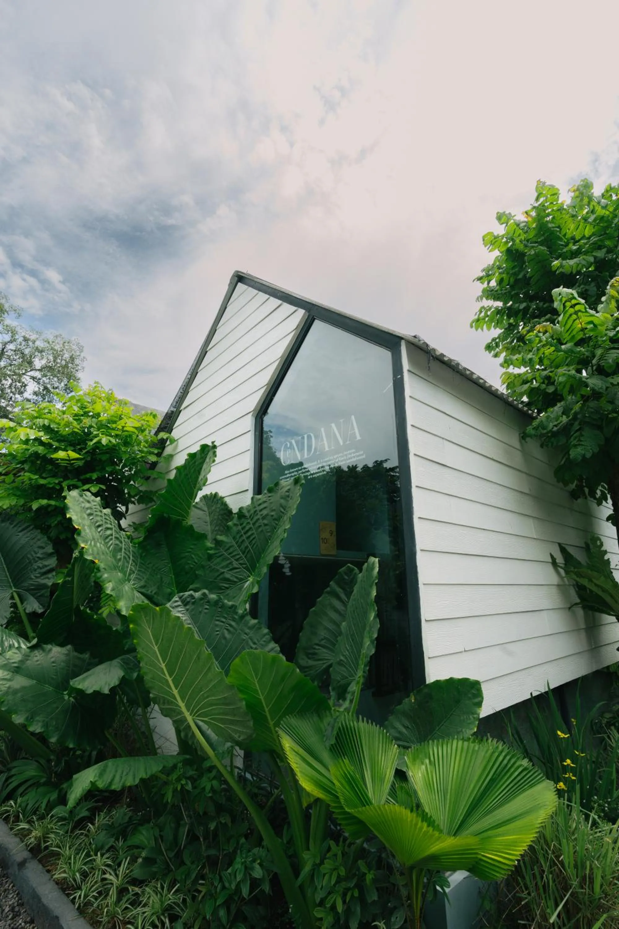 The Jungle Hostel Canggu