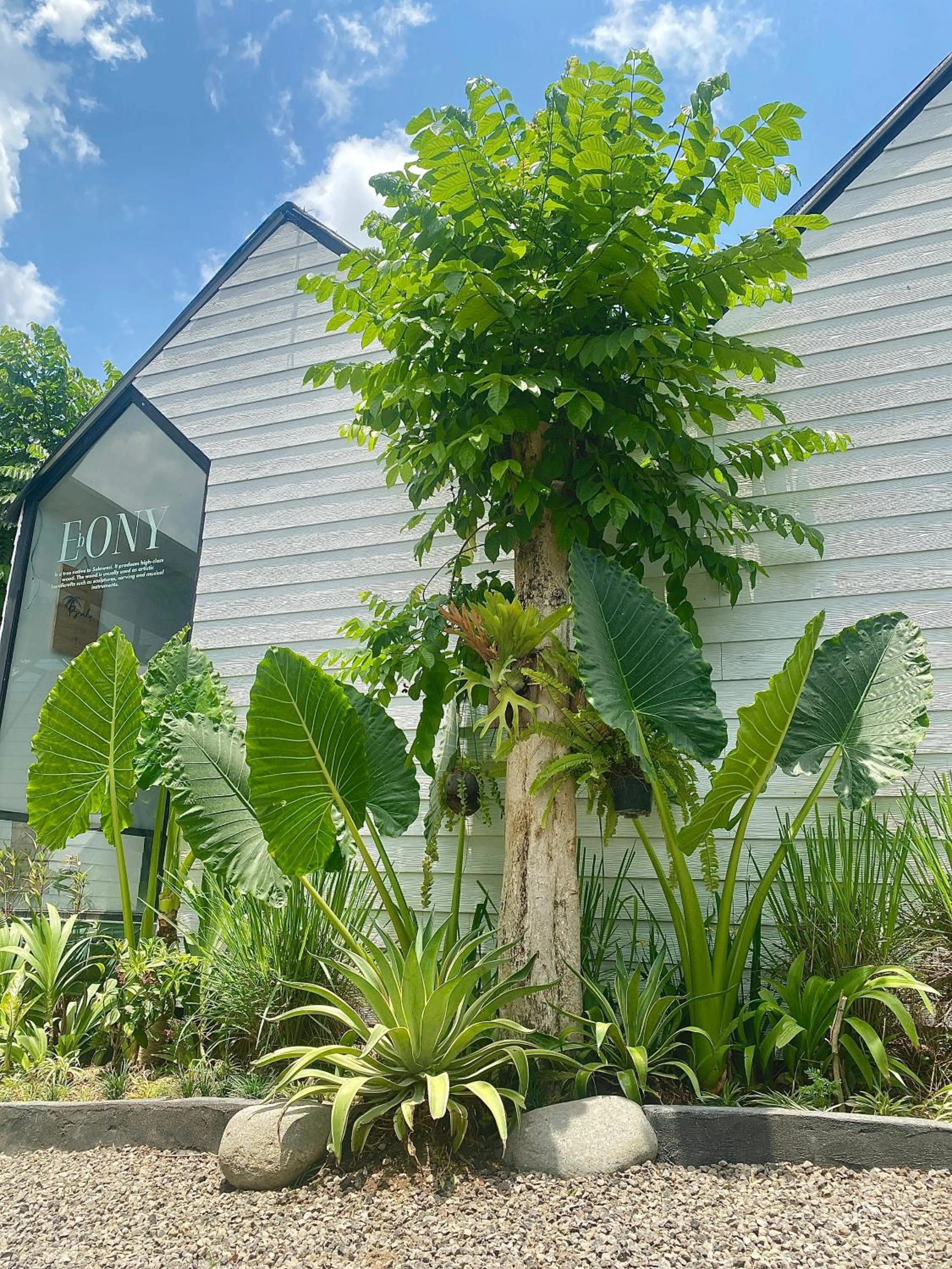Garden in The Jungle Hostel Canggu