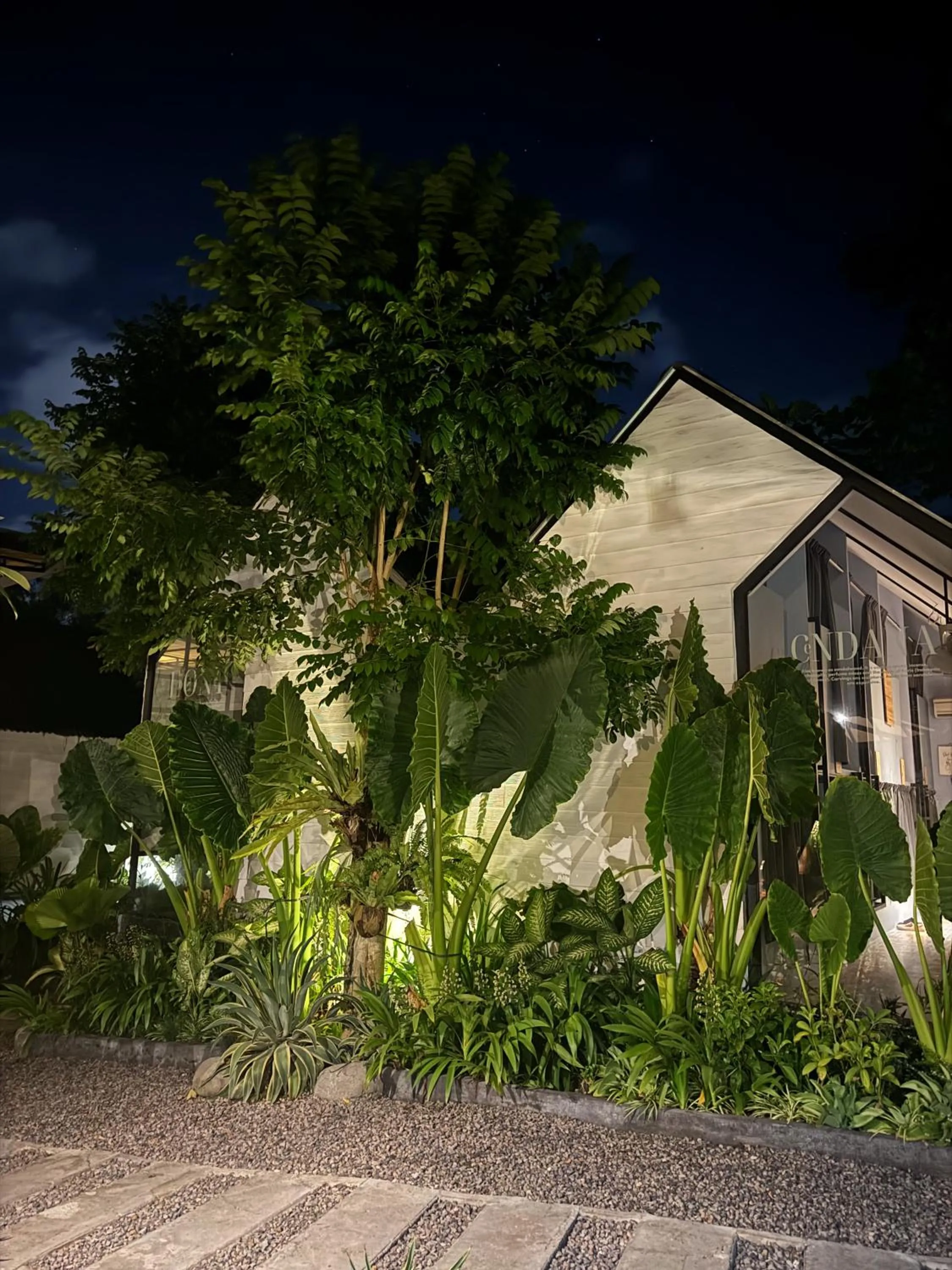 The Jungle Hostel Canggu