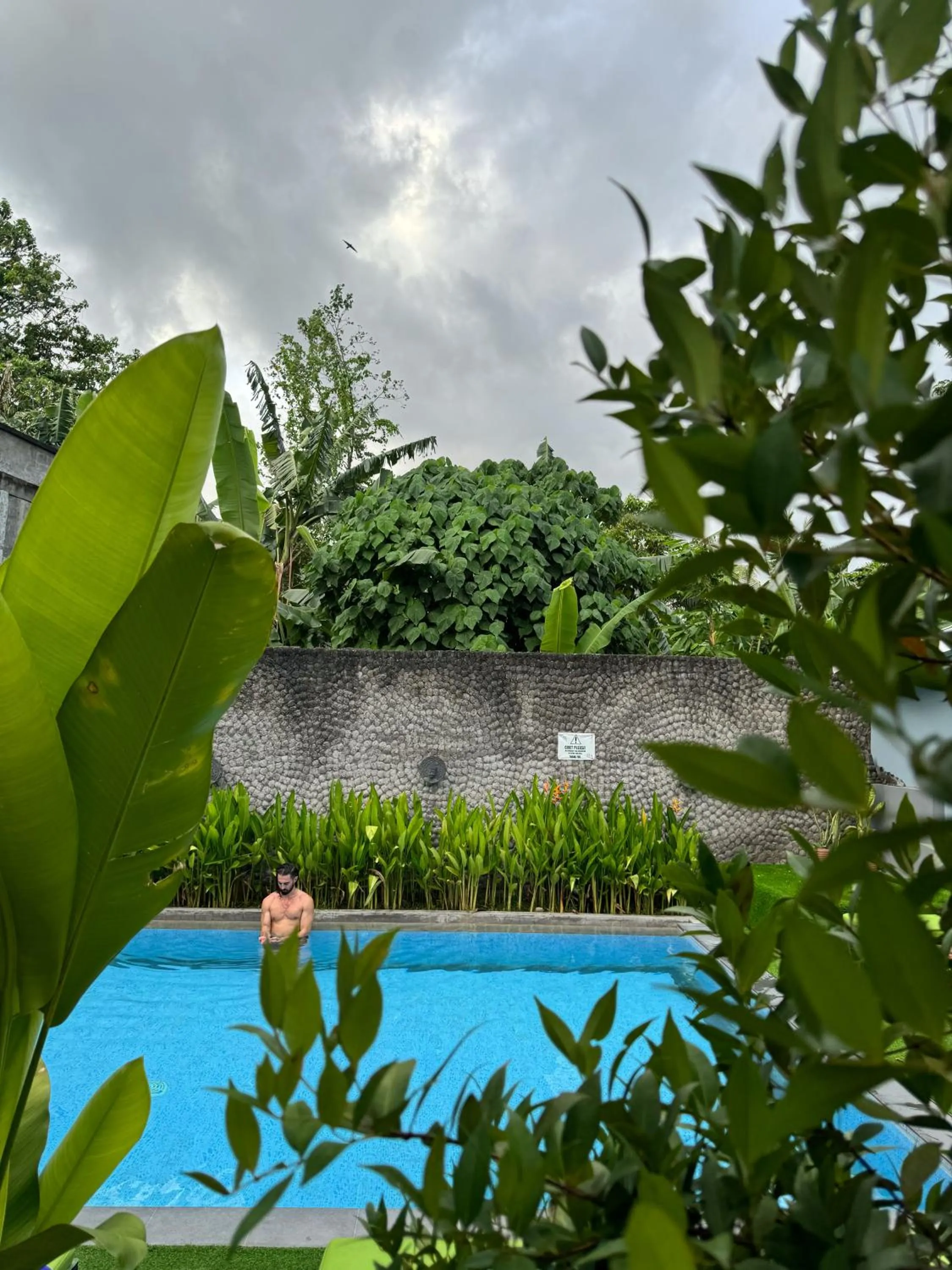 The Jungle Hostel Canggu