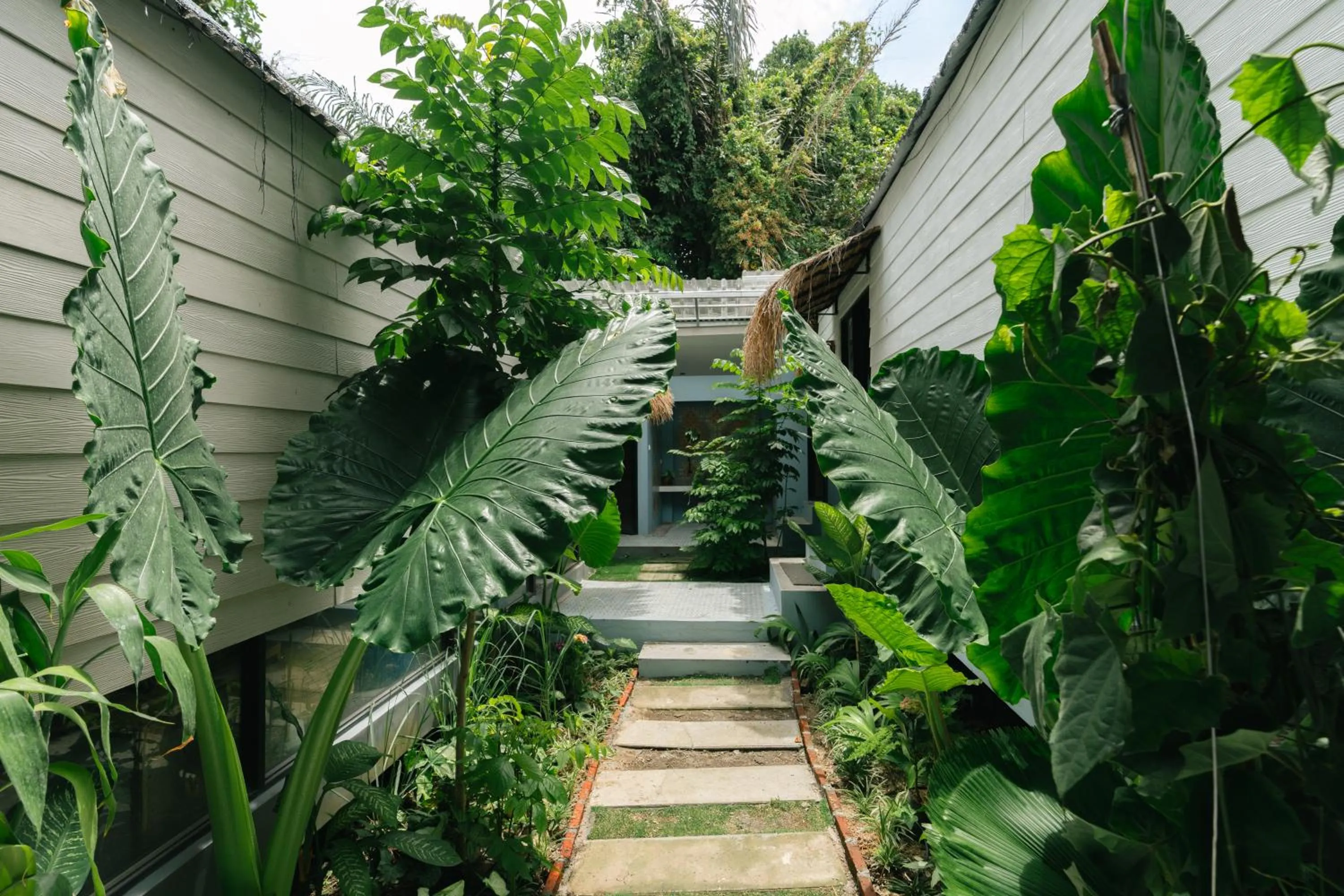 The Jungle Hostel Canggu