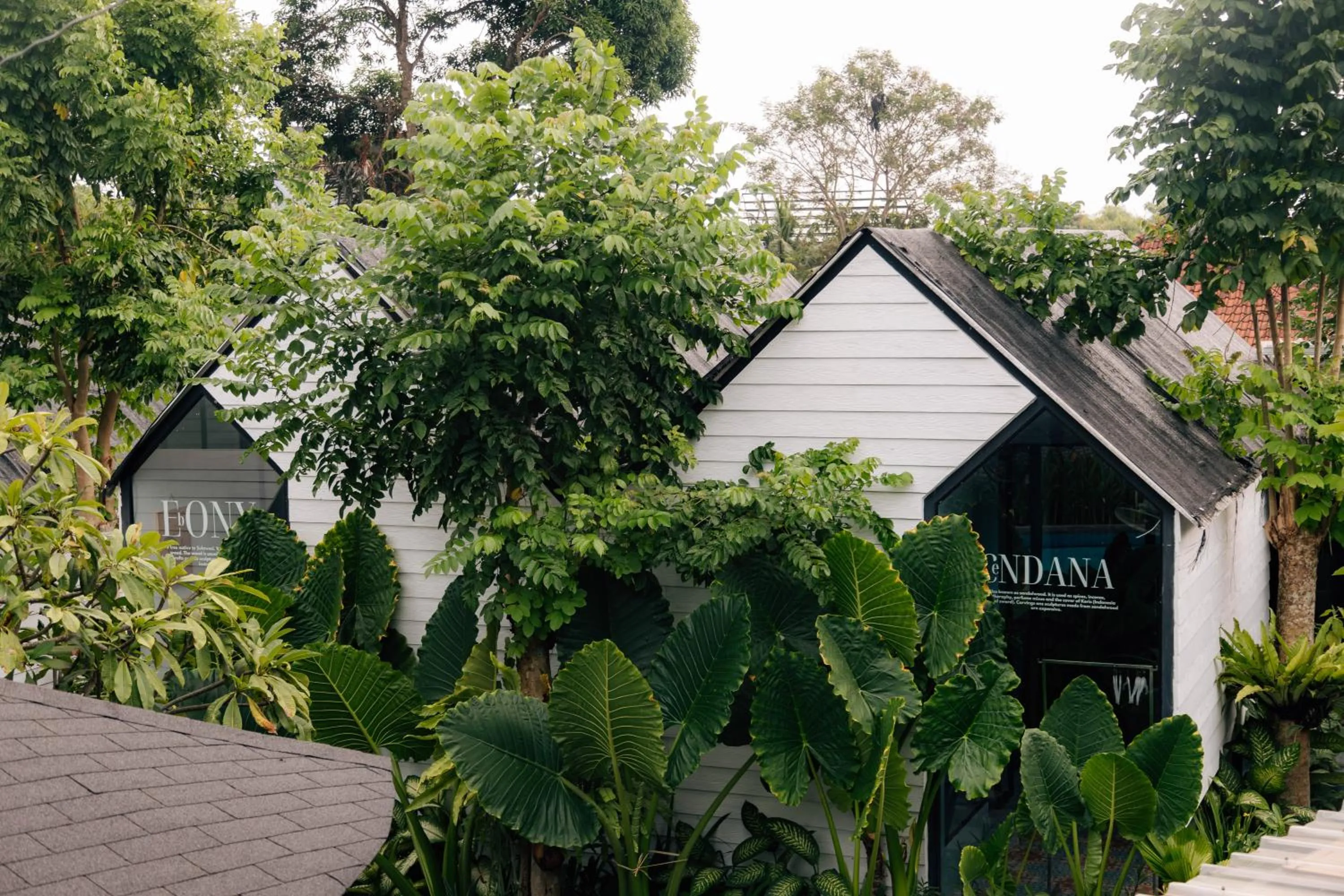 Property building in The Jungle Hostel Canggu