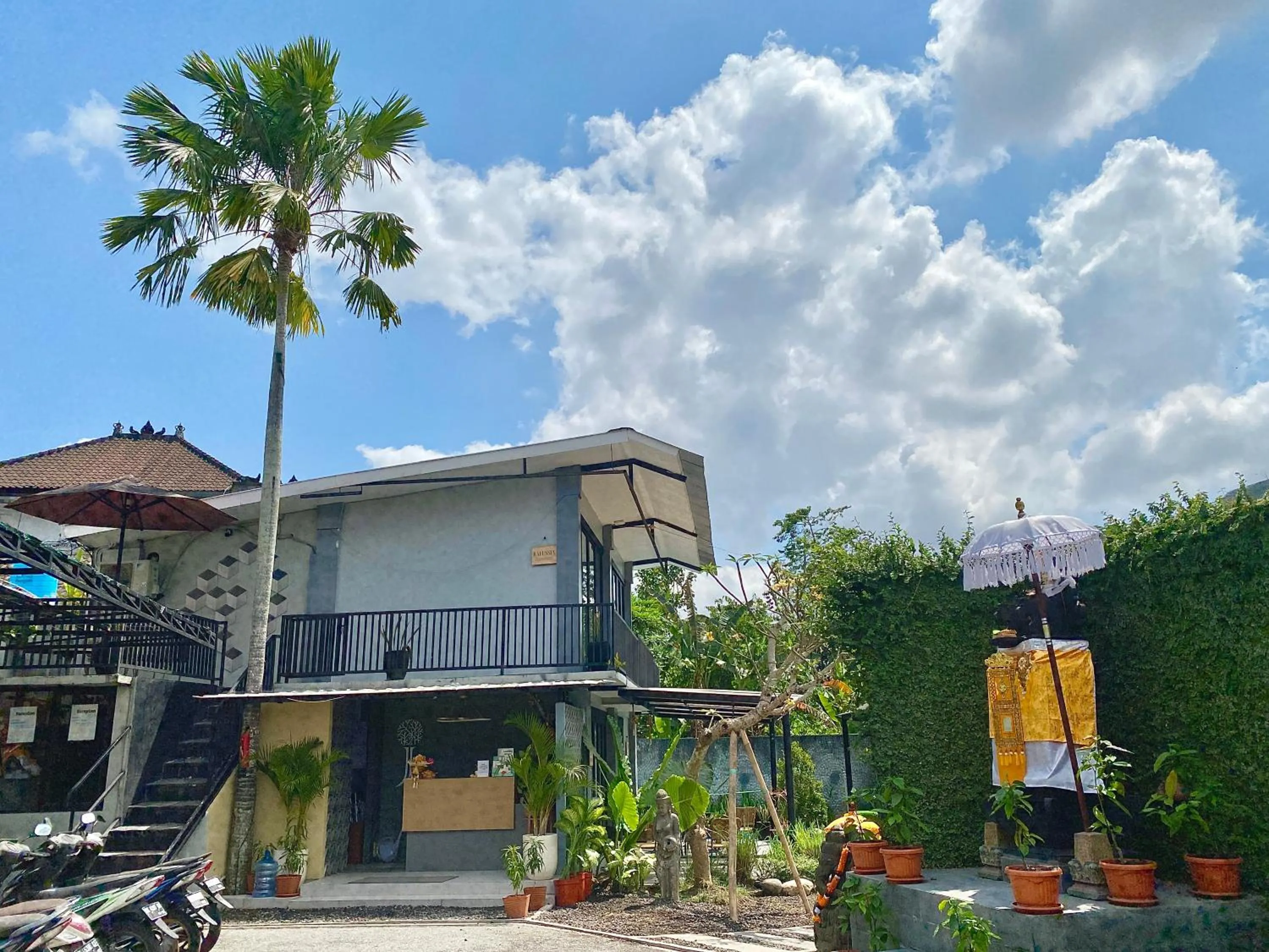 Lobby or reception in The Jungle Hostel Canggu