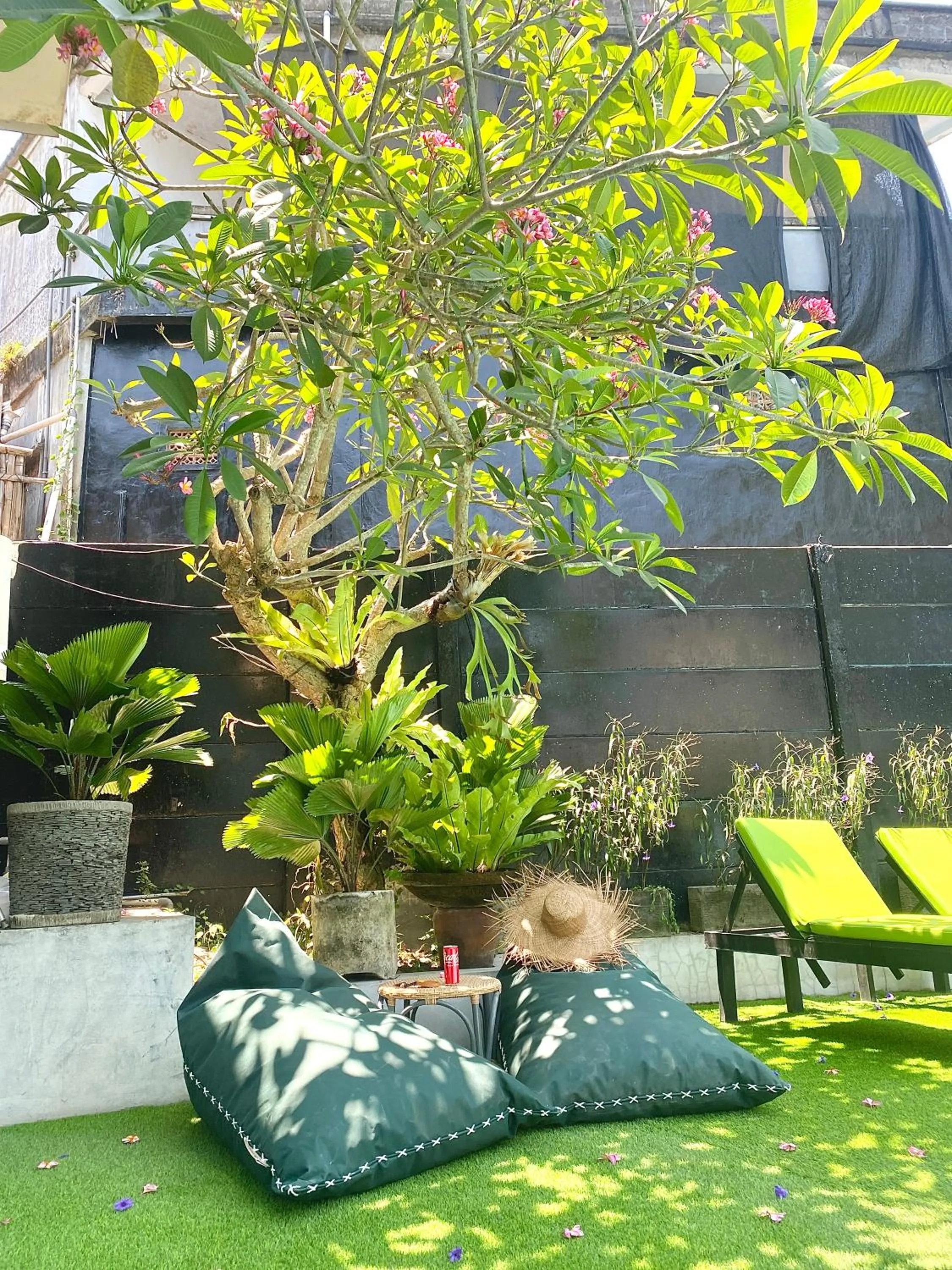 Pool view in The Jungle Hostel Canggu