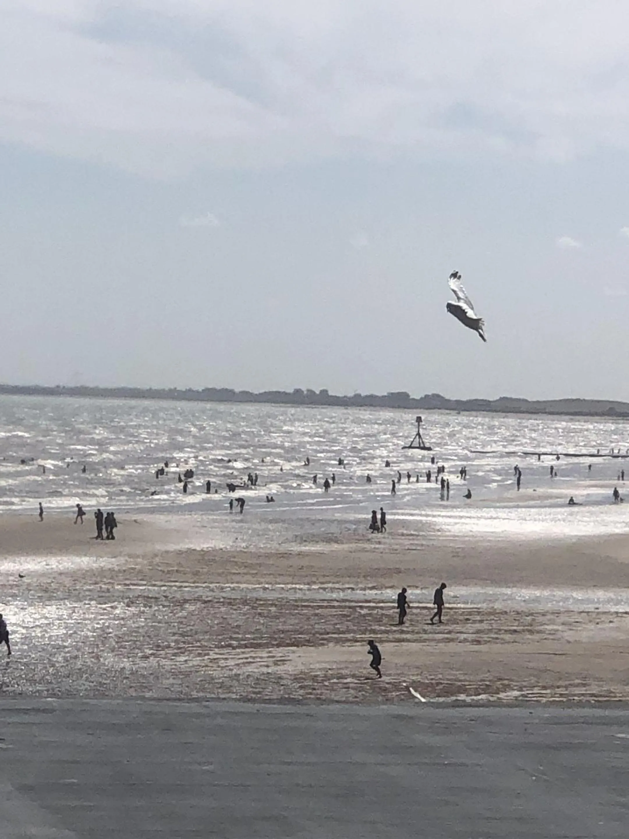 Beach in Salt on the Harbour